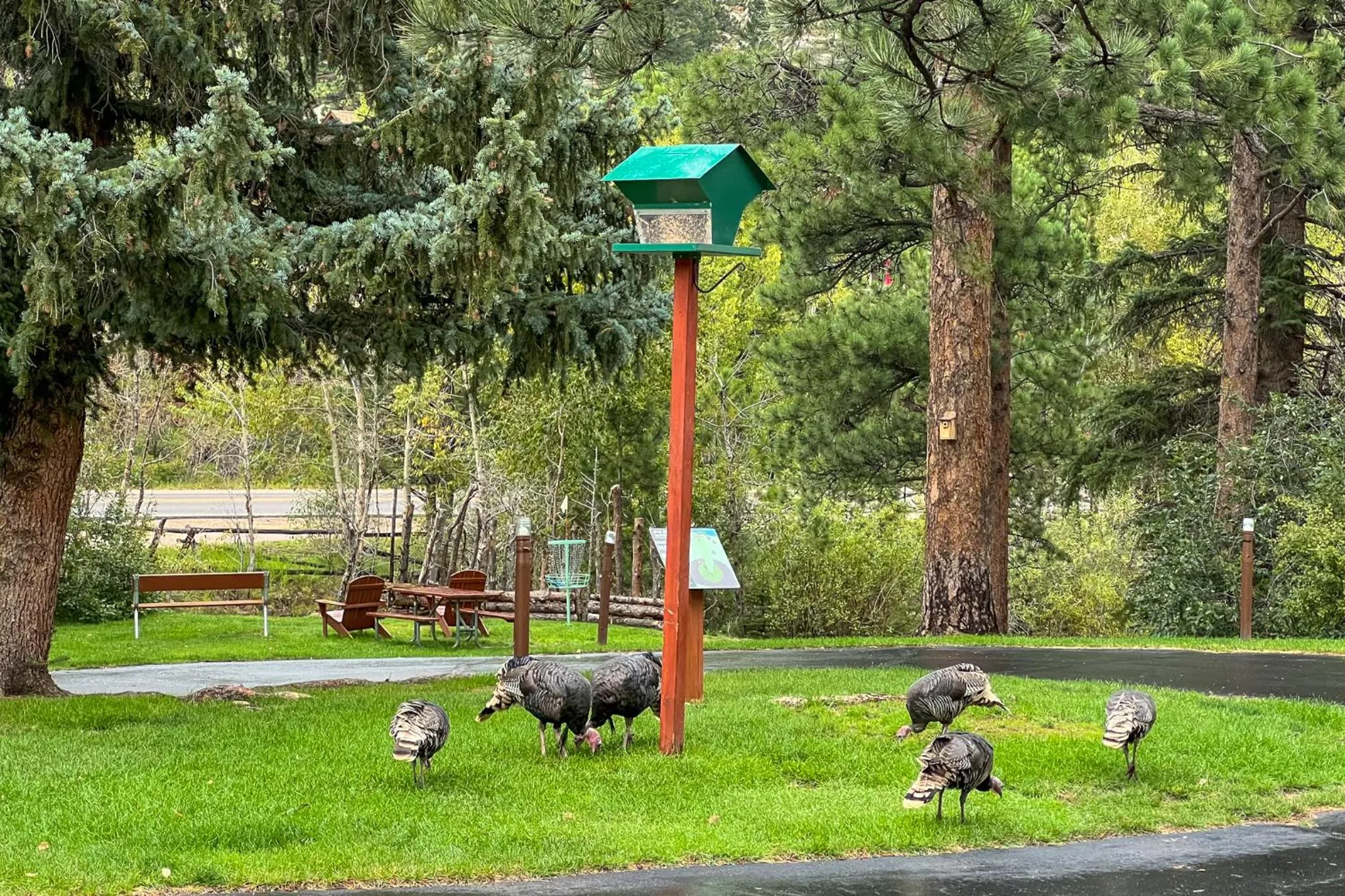 Natural landscape in Castle Mountain Lodge