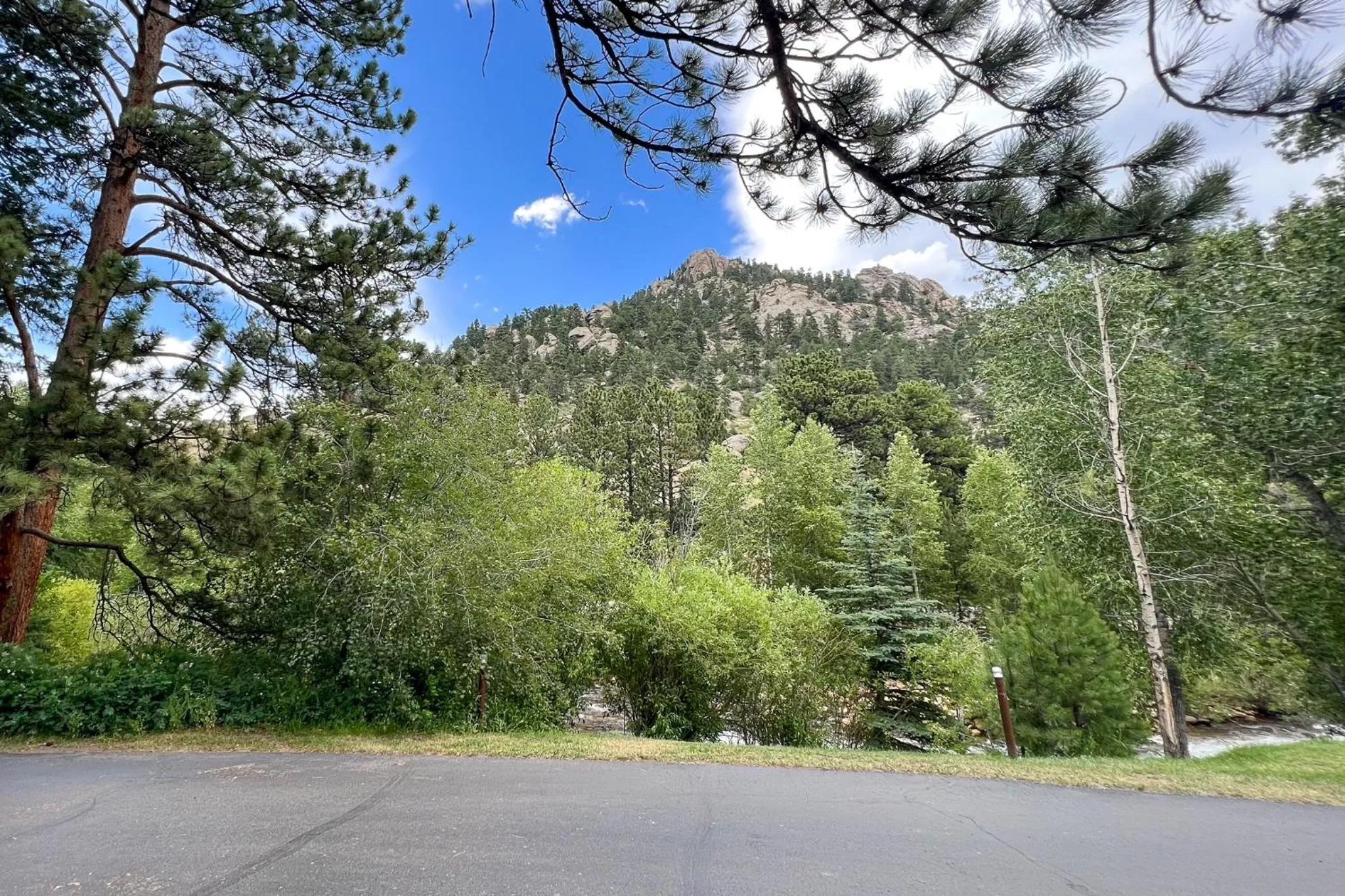 Natural landscape in Castle Mountain Lodge