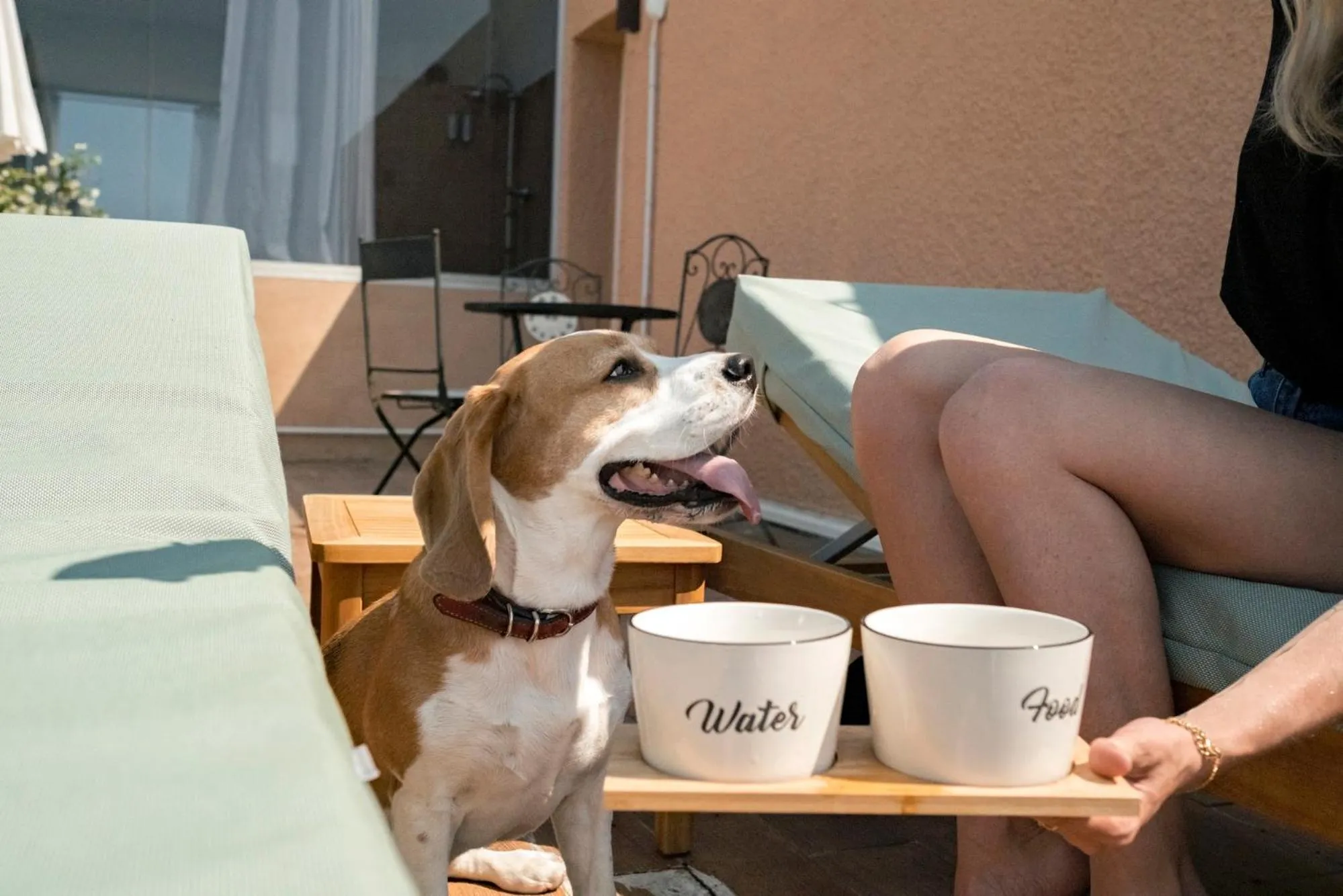 Pets in Surplage Hôtel Cavalière