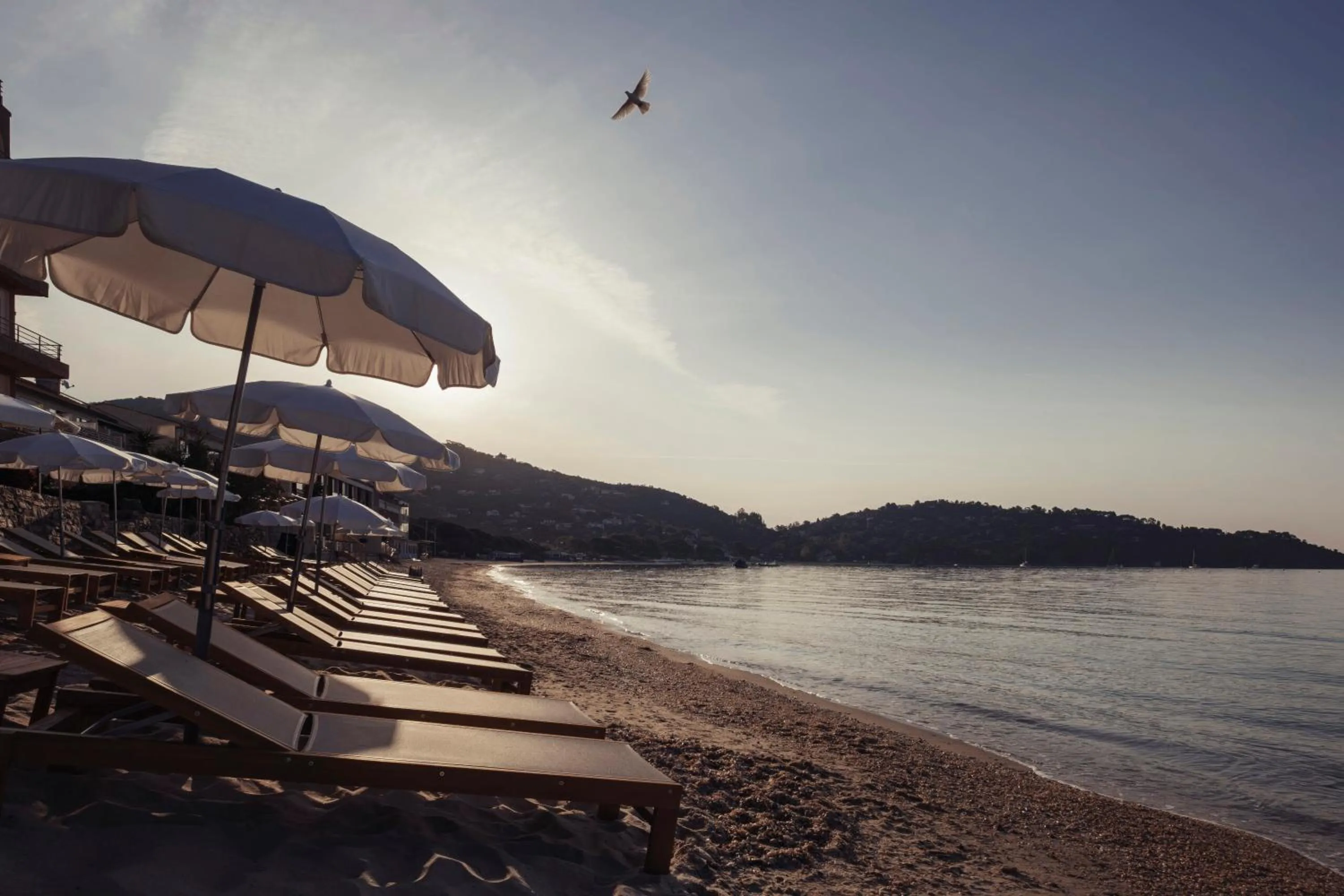 Beach in Surplage Hôtel Cavalière