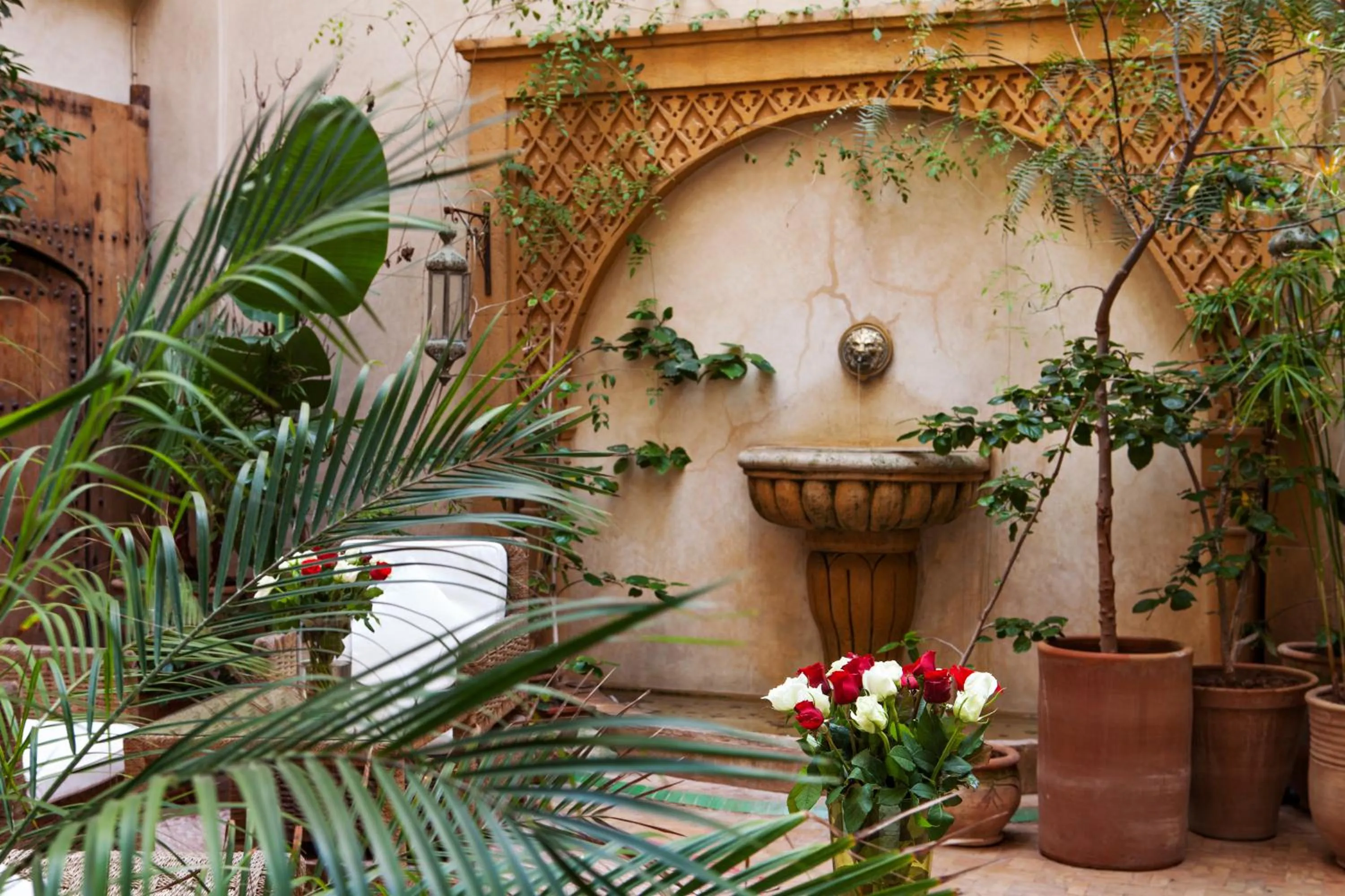 Garden in Riad Chbanate