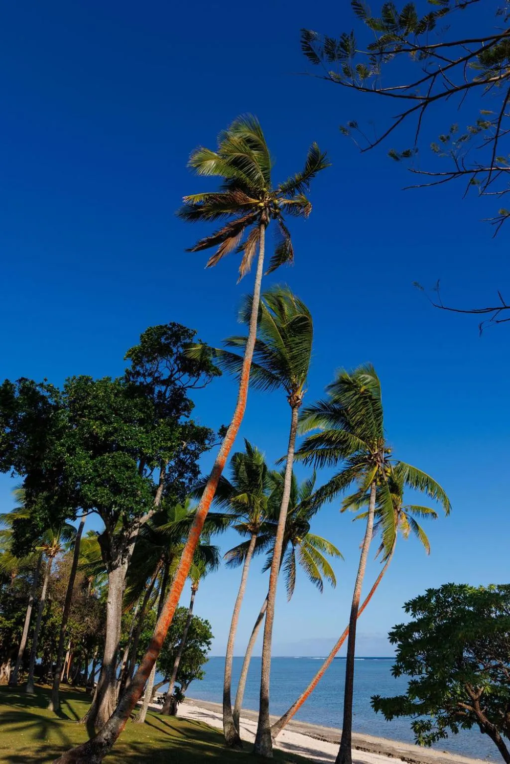 Day in Shangri-La Yanuca Island, Fiji