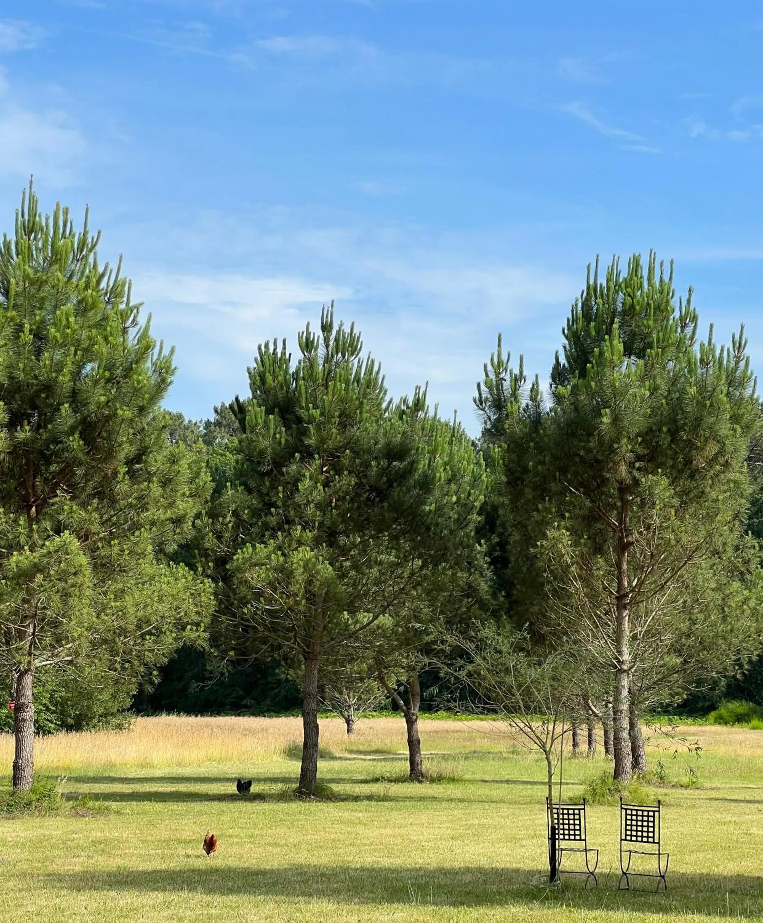Garden in Laguillotte