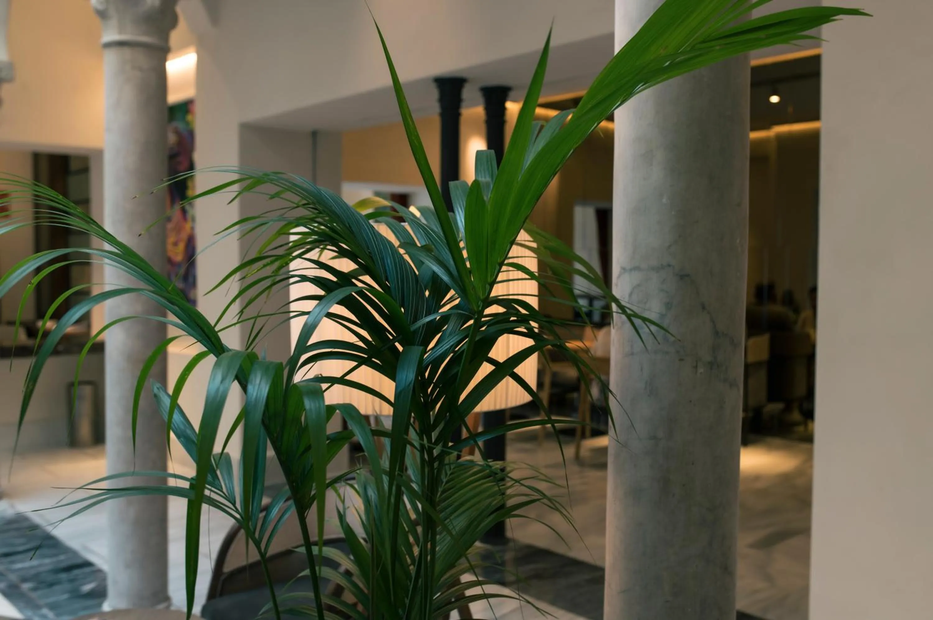 Patio in Legado Magdalena Hotel