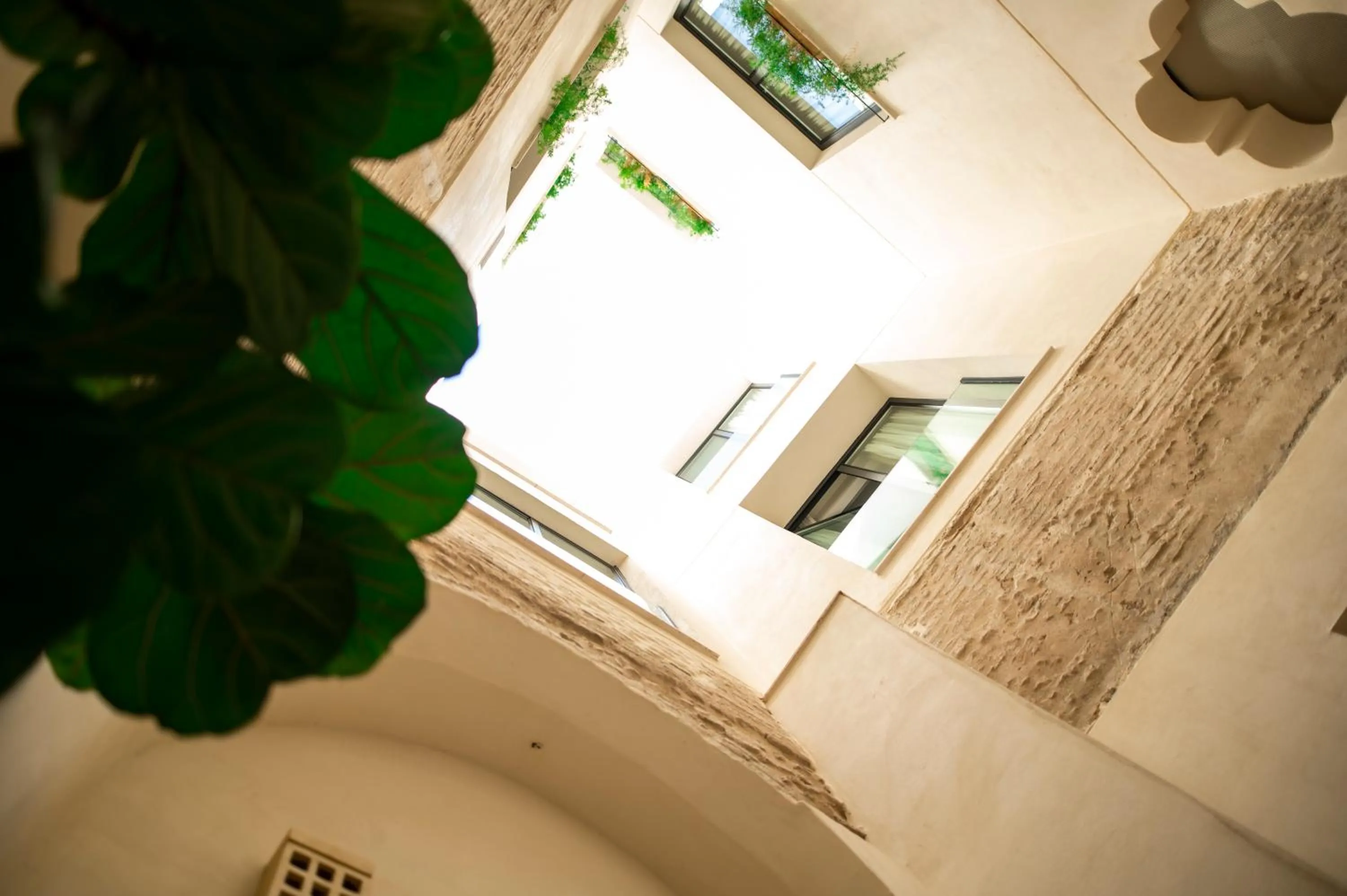 Patio in Legado Magdalena Hotel