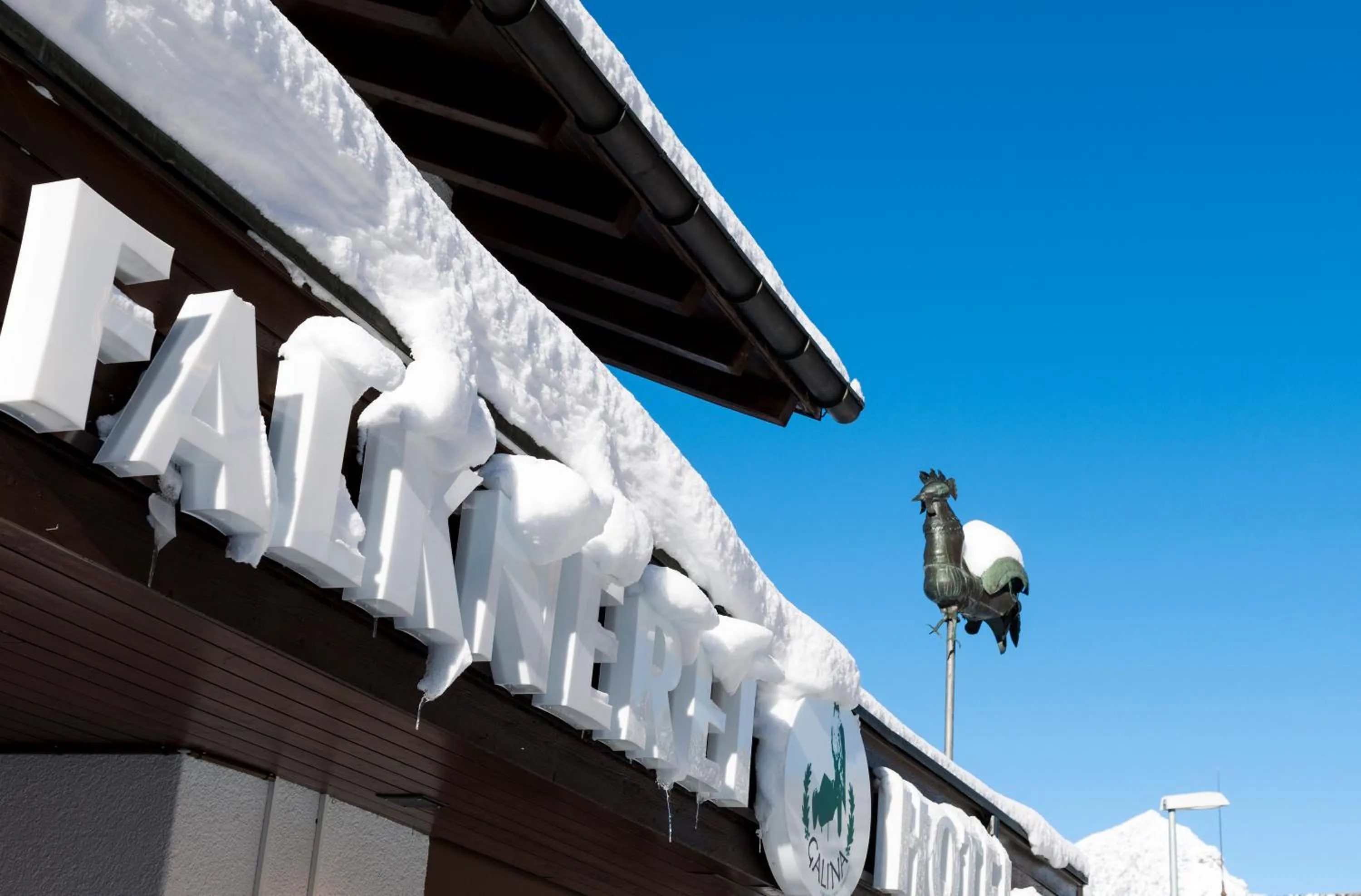 Facade/entrance in Hotel Falknerei Galina