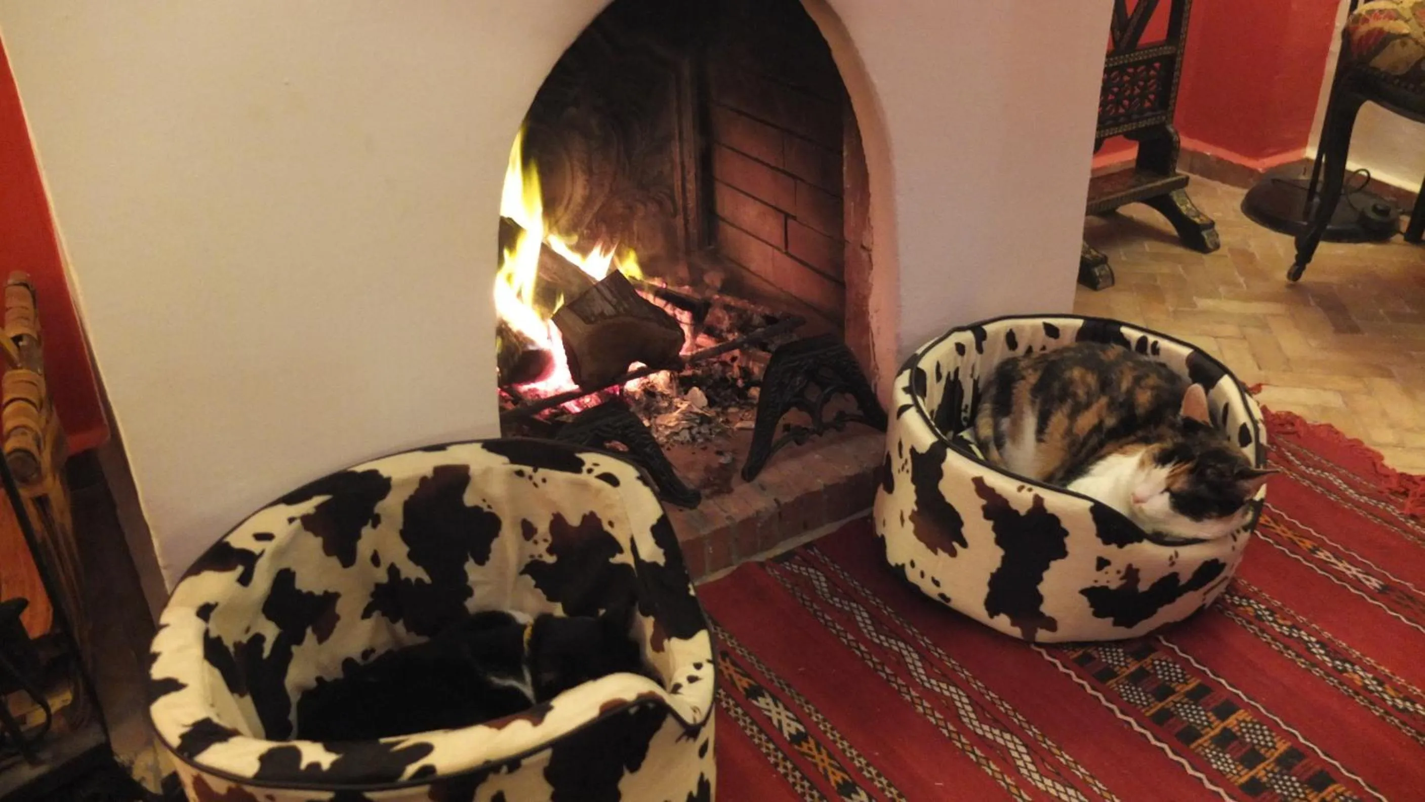 Communal lounge/ TV room in Dar Sultan