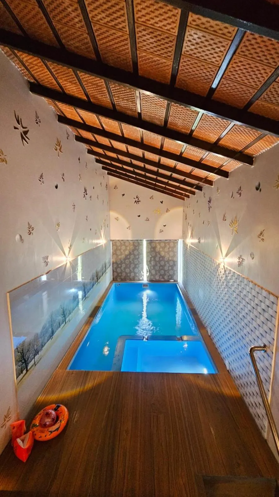 Swimming pool in Le Yercaud