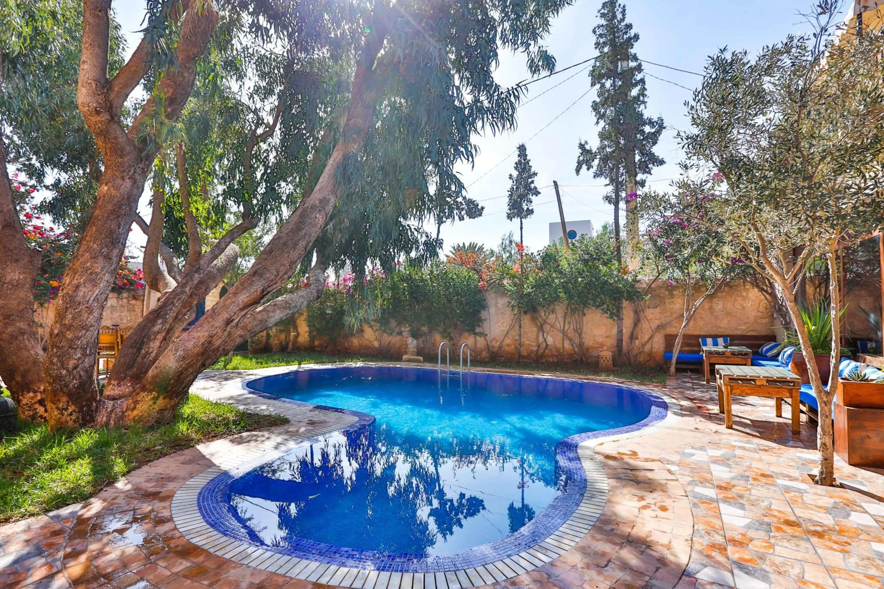 Pool view in DAR ETTO Riad & Spa