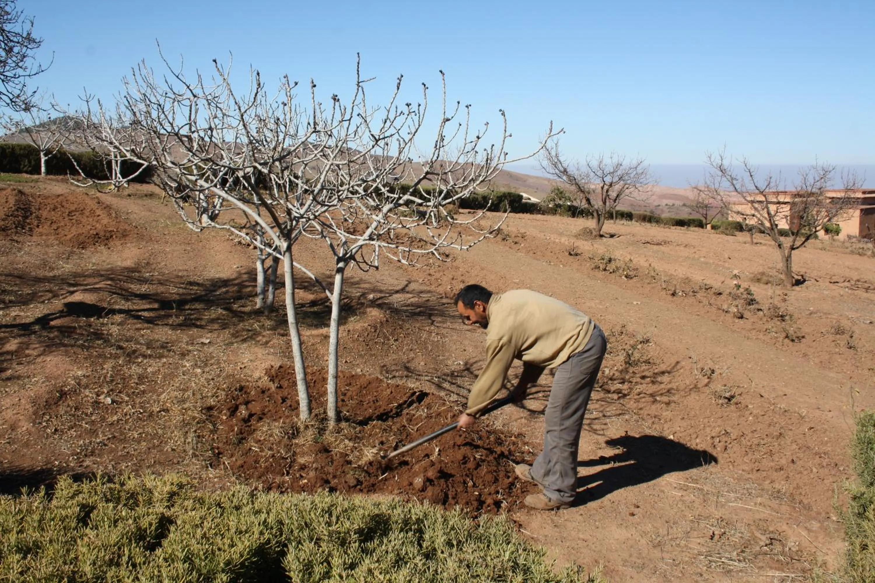 Off site in Terres d'Amanar