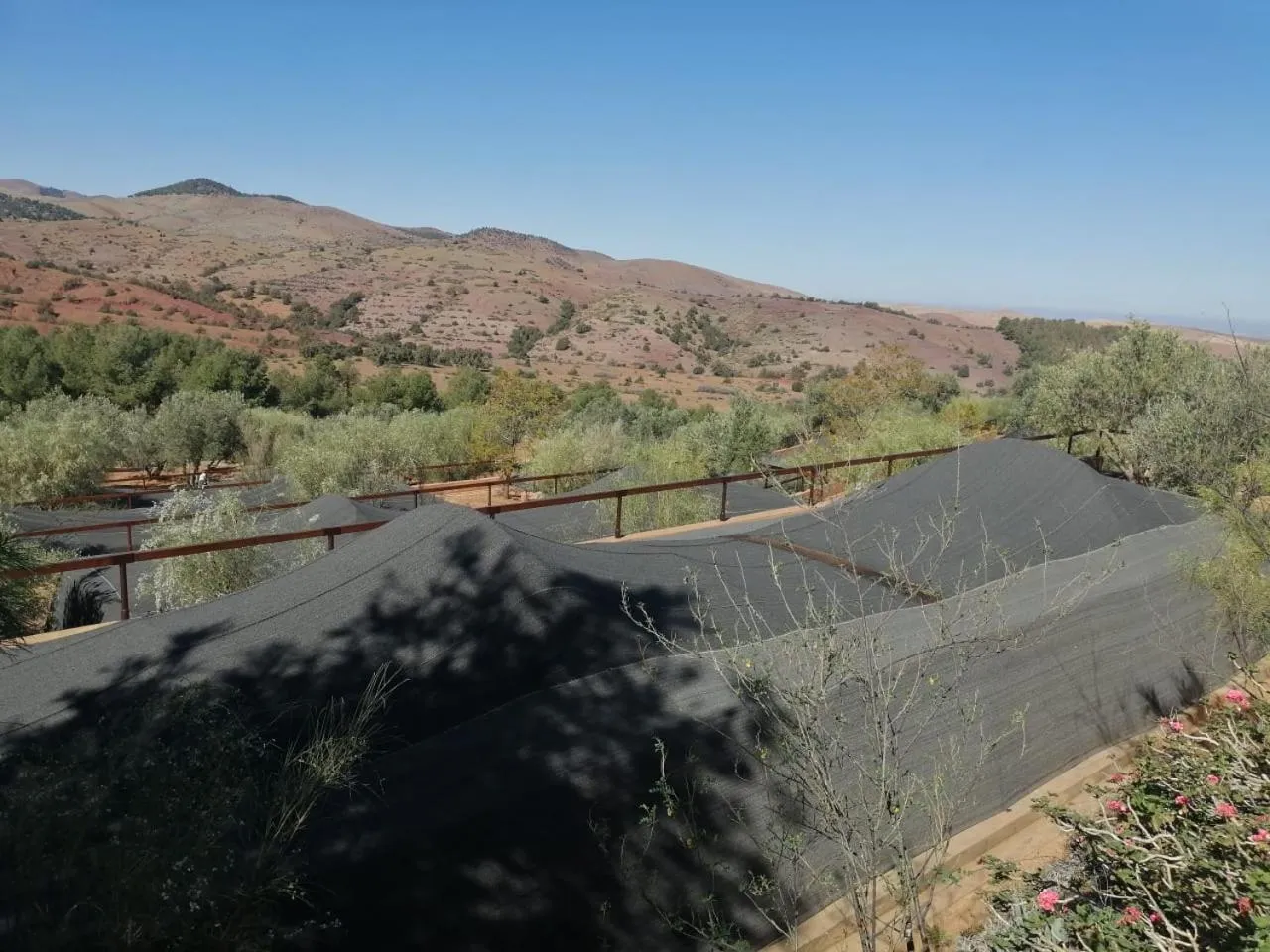 View (from property/room) in Terres d'Amanar