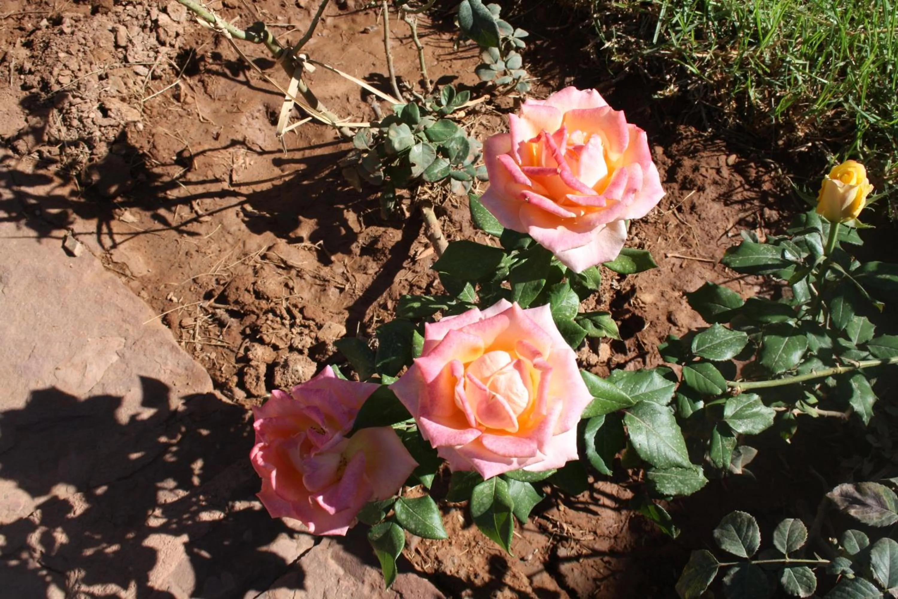 Activities in Terres d'Amanar