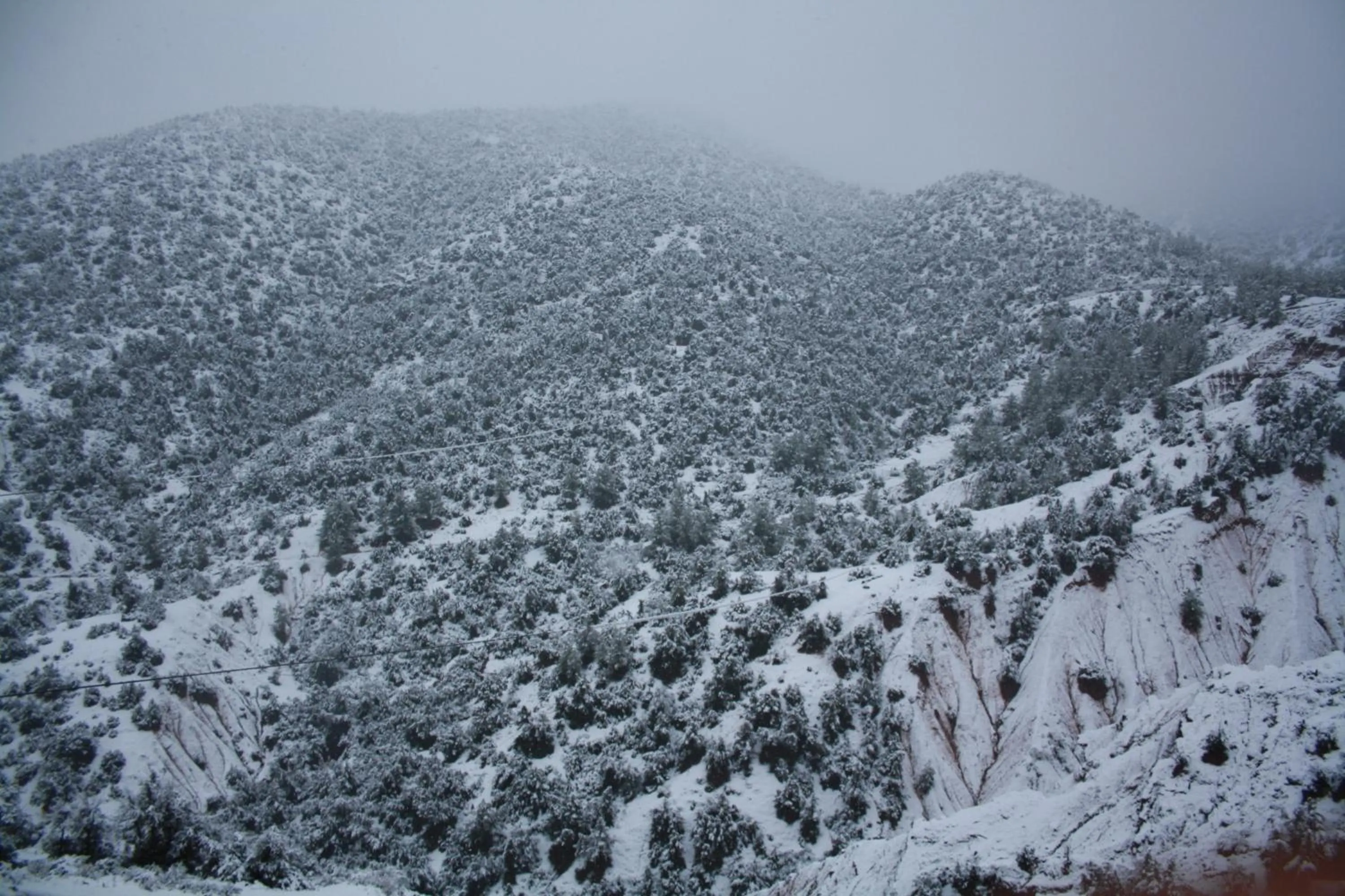 Other in Terres d'Amanar