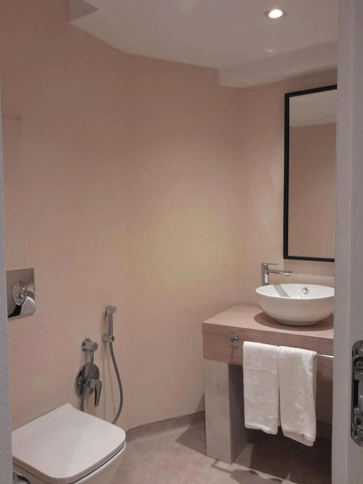 Toilet in Hotel Zenith