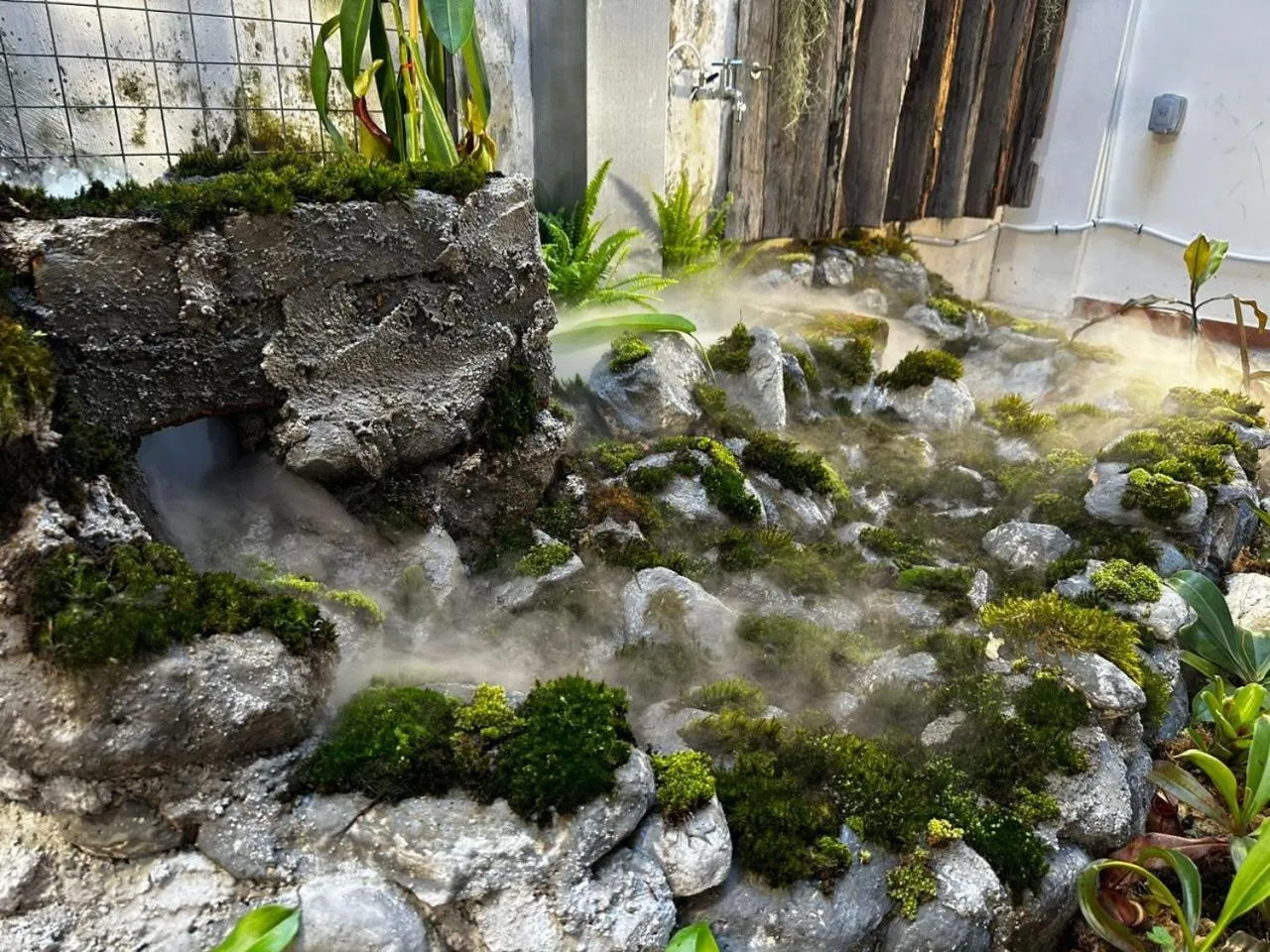 Garden view in 19th Century Boutique Hotel