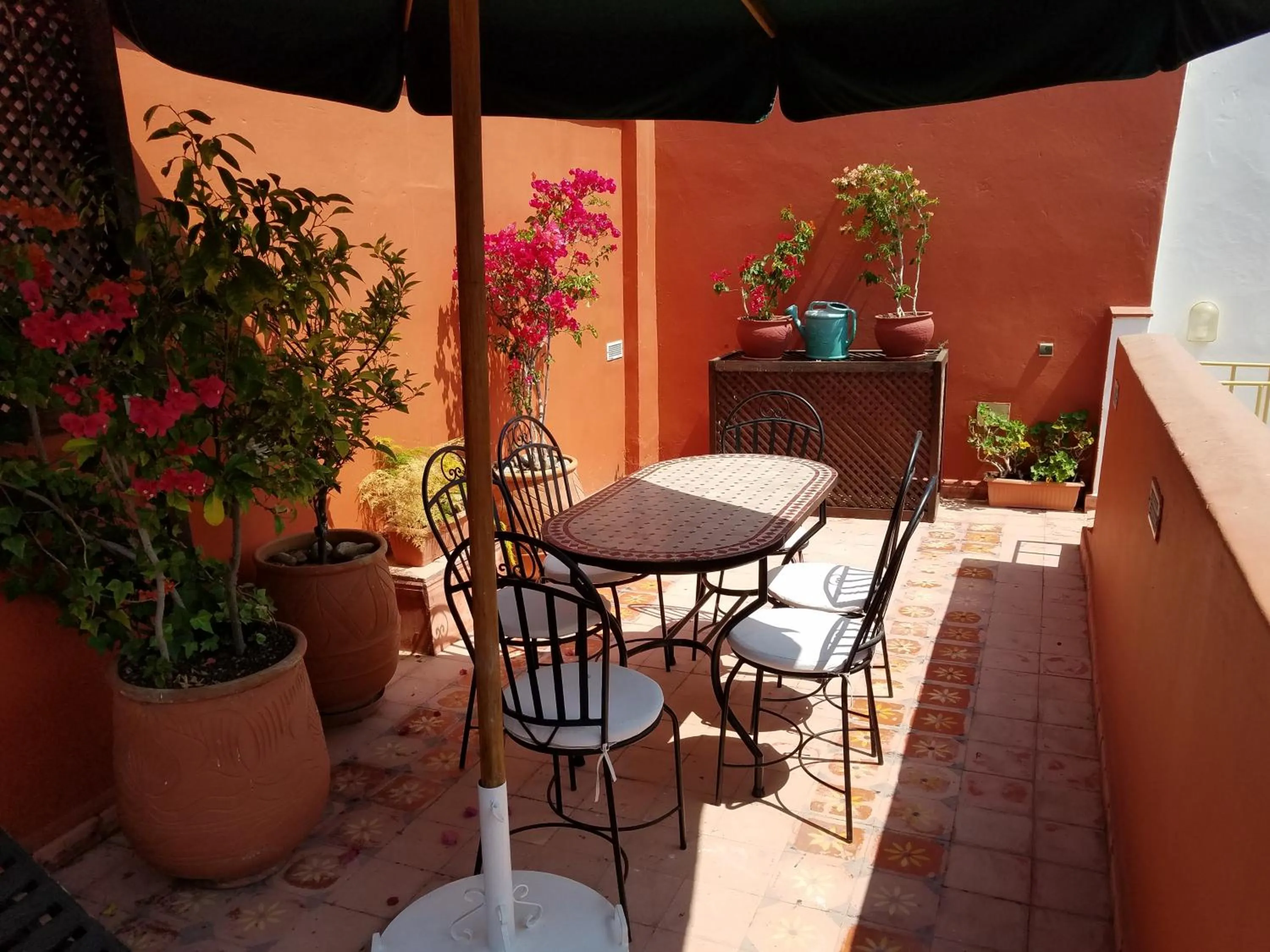 Balcony/Terrace in Riad Dar Zouhour
