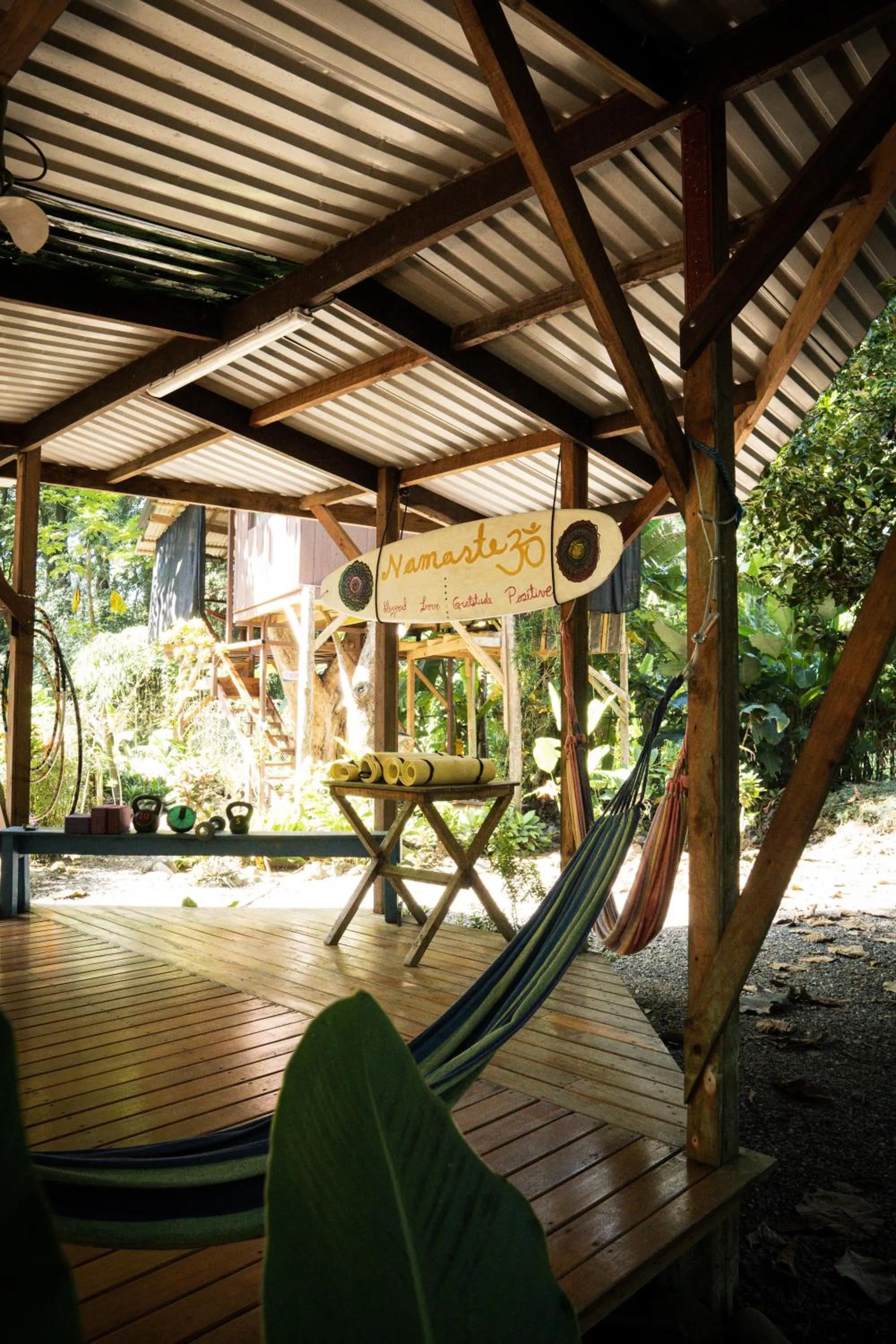 Garden view in Flutterby House Hostel