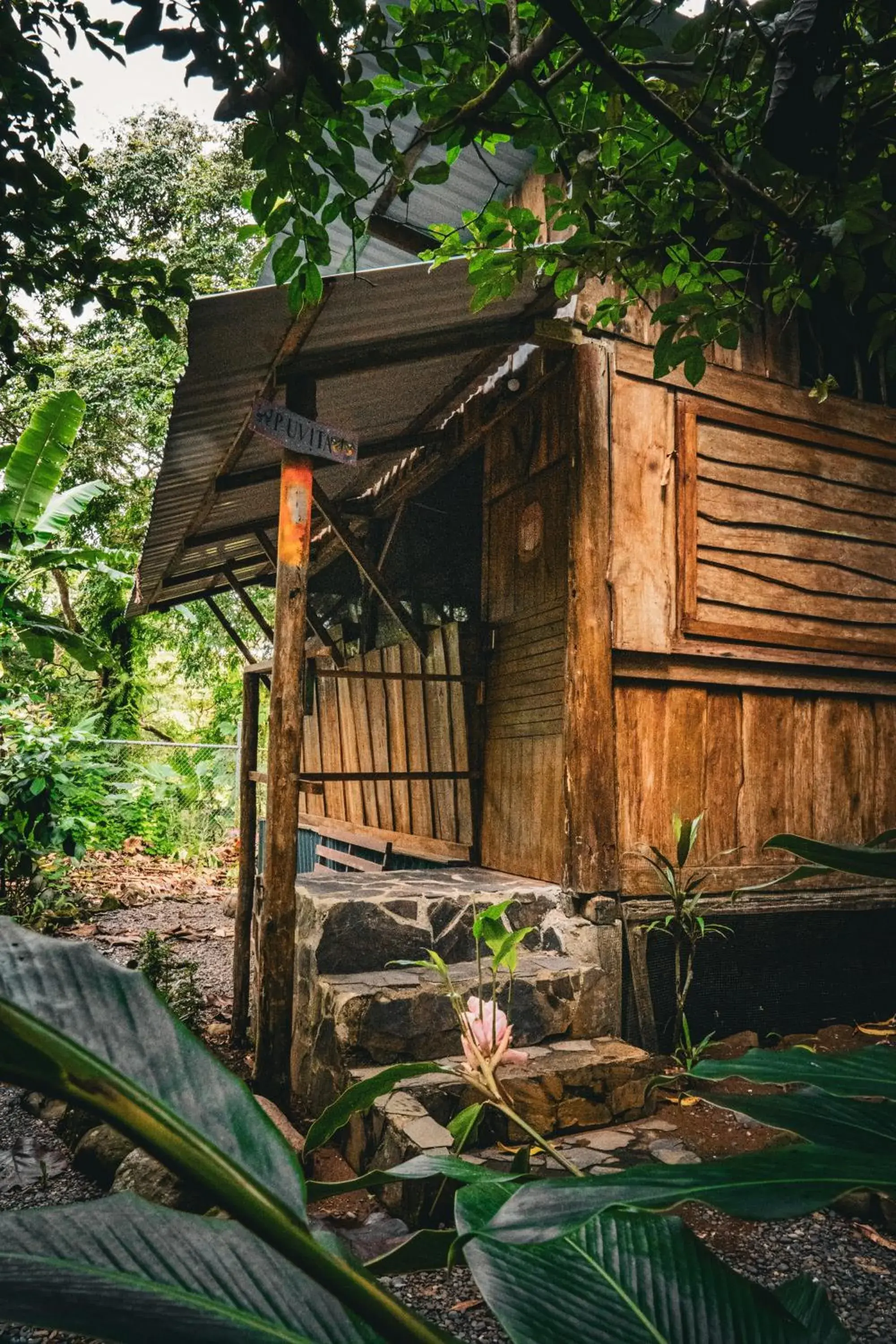 Family Room with Private Bathroom - single occupancy in Flutterby House Hostel Family Room with Private Bathroom - single occupancy in Flutterby House Hostel