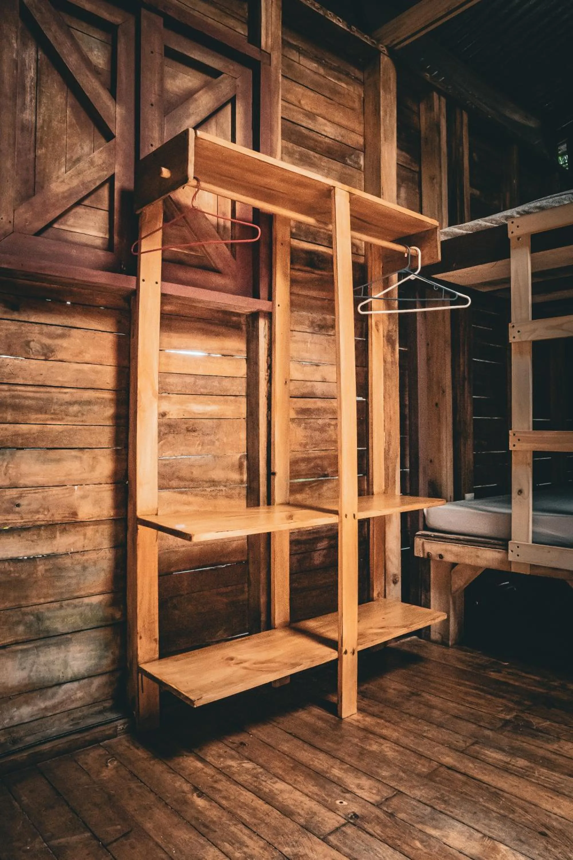 bunk bed in Flutterby House Hostel