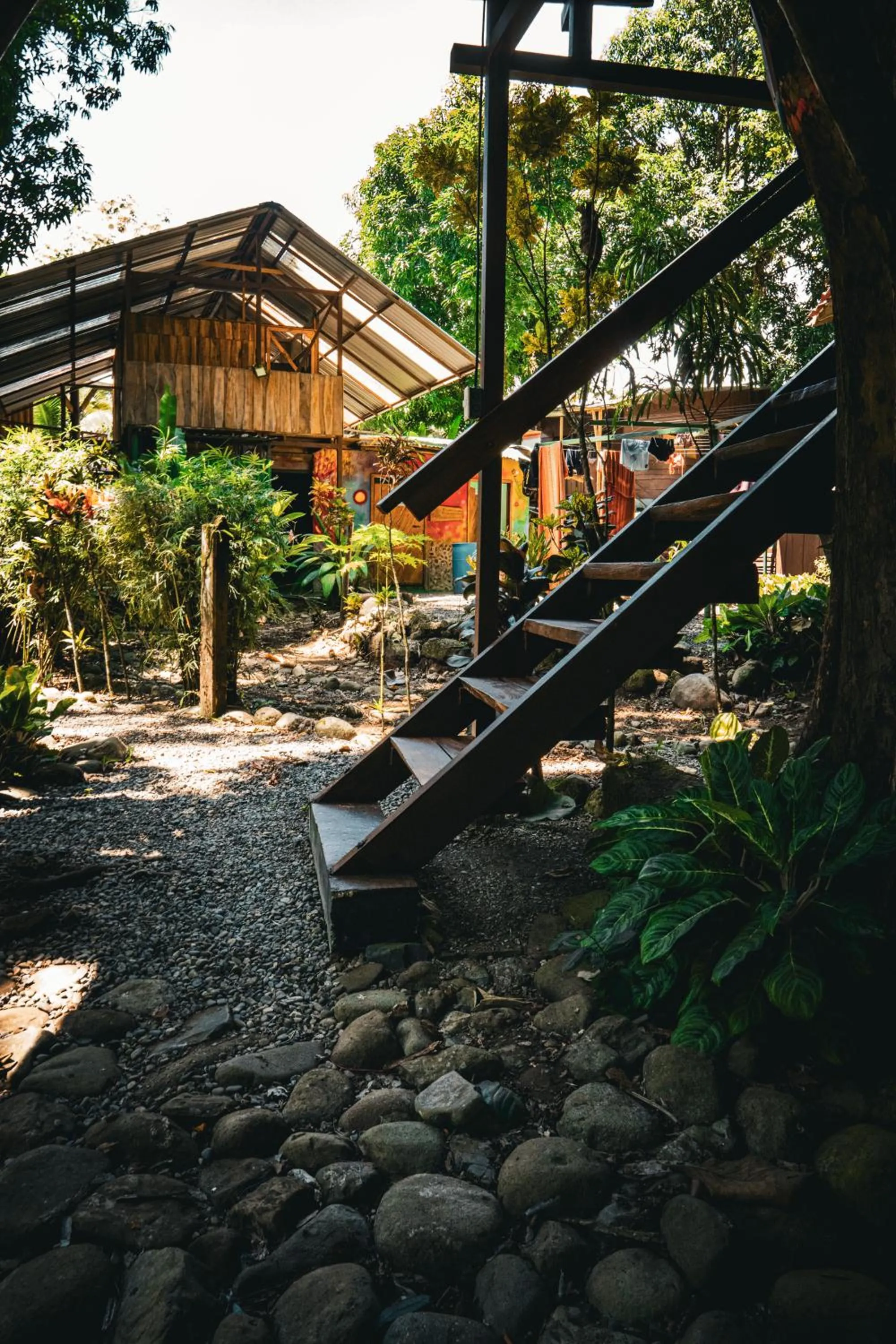 Day in Flutterby House Hostel