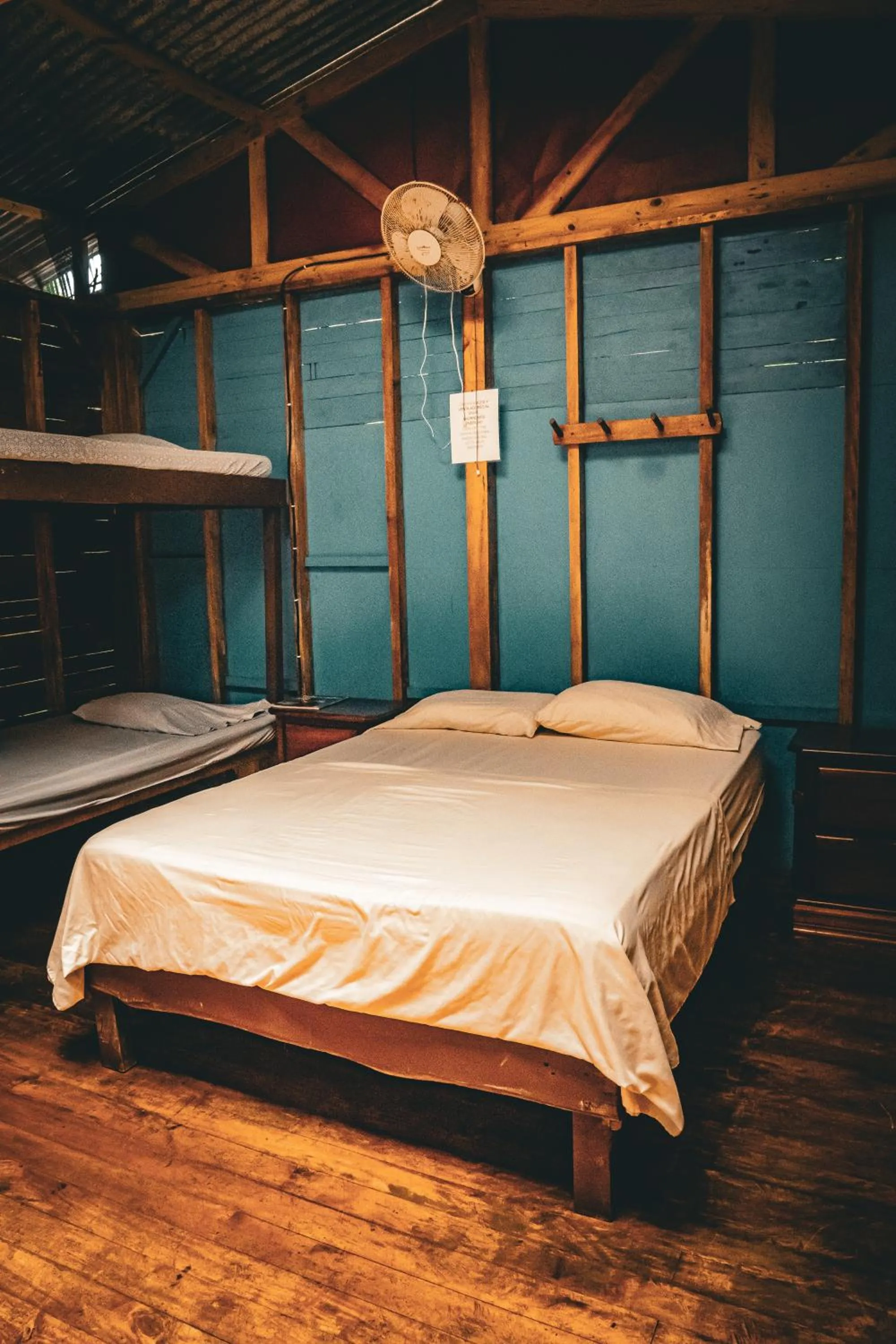 Bed in Flutterby House Hostel