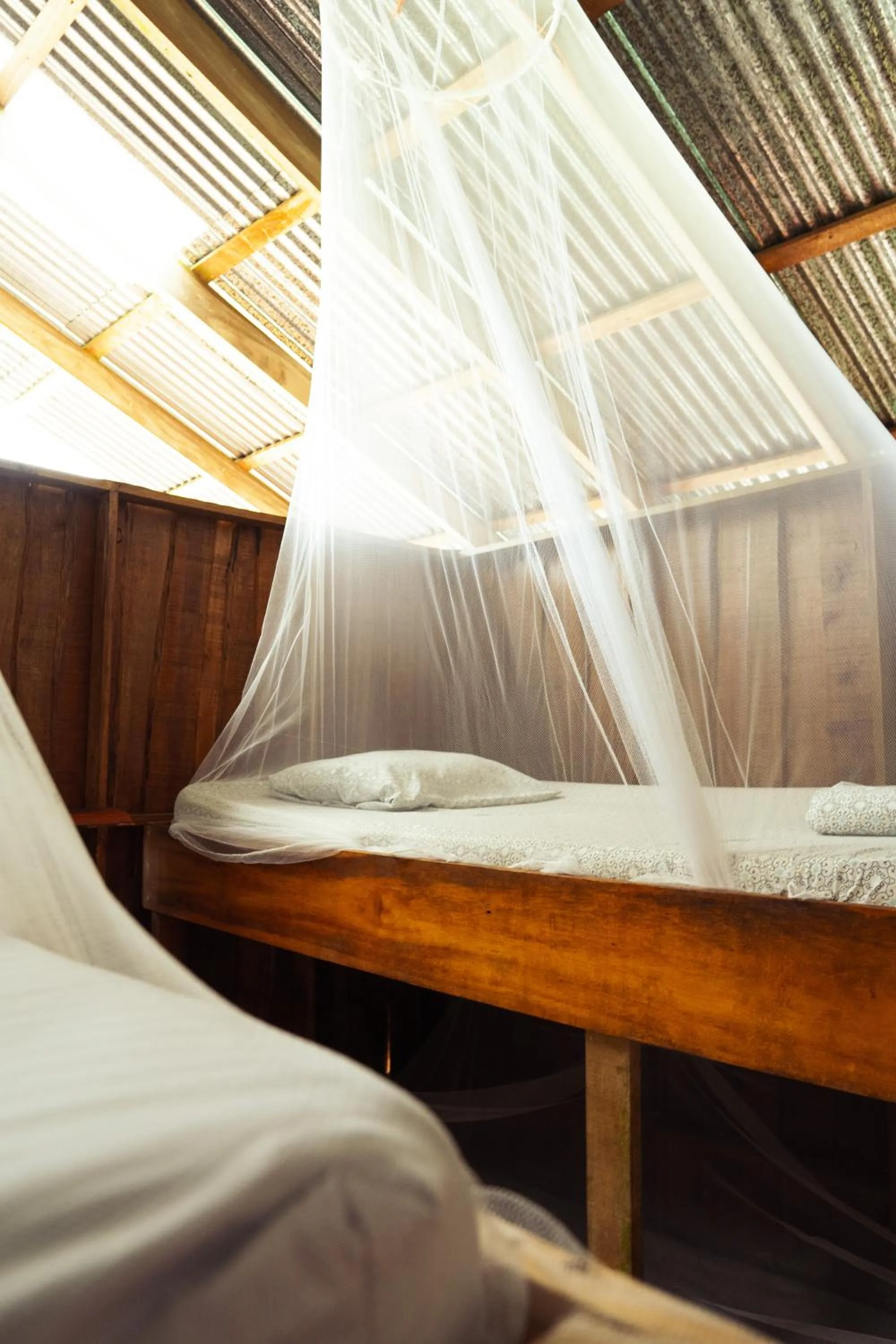 Bed in Flutterby House Hostel