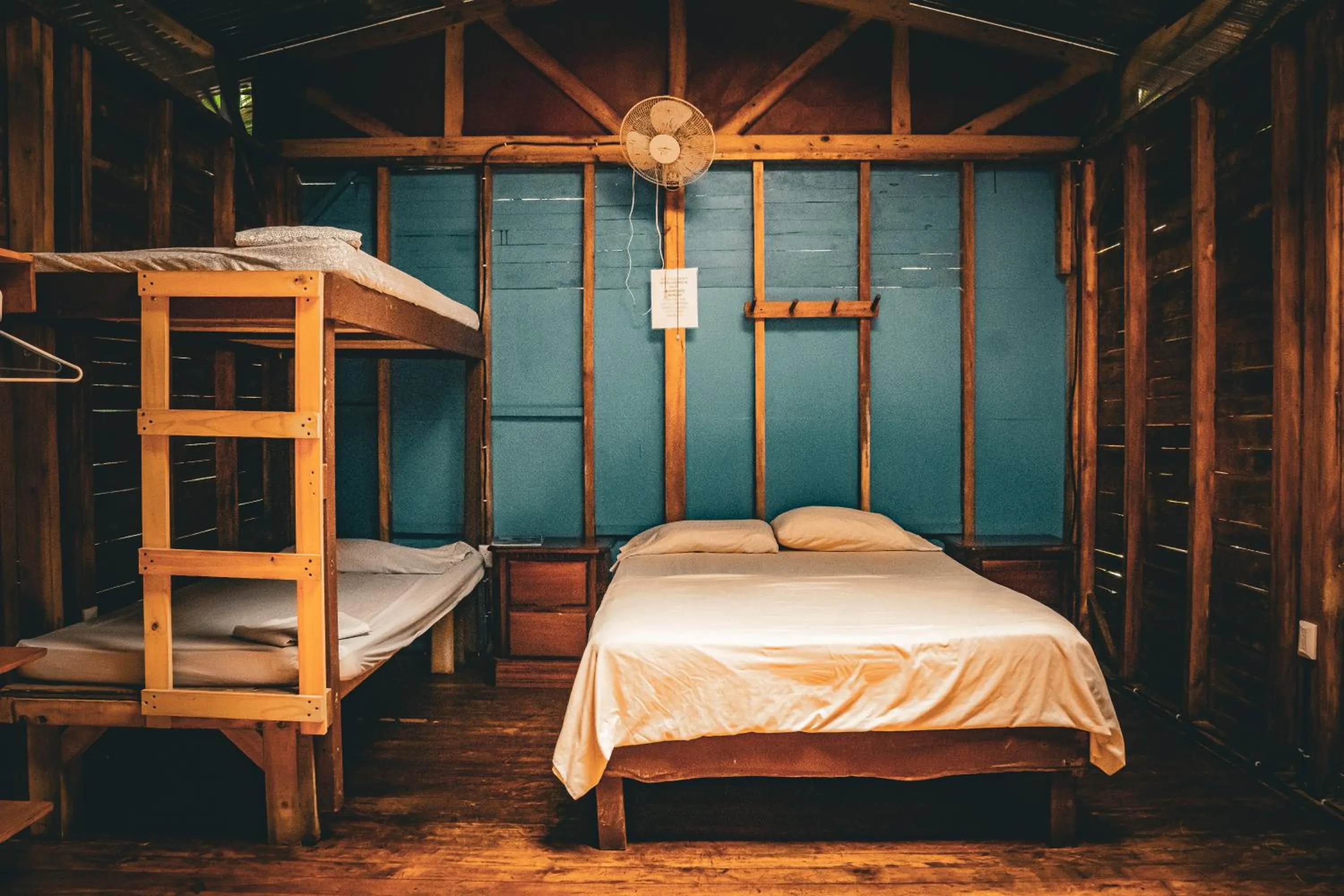 Bed in Flutterby House Hostel