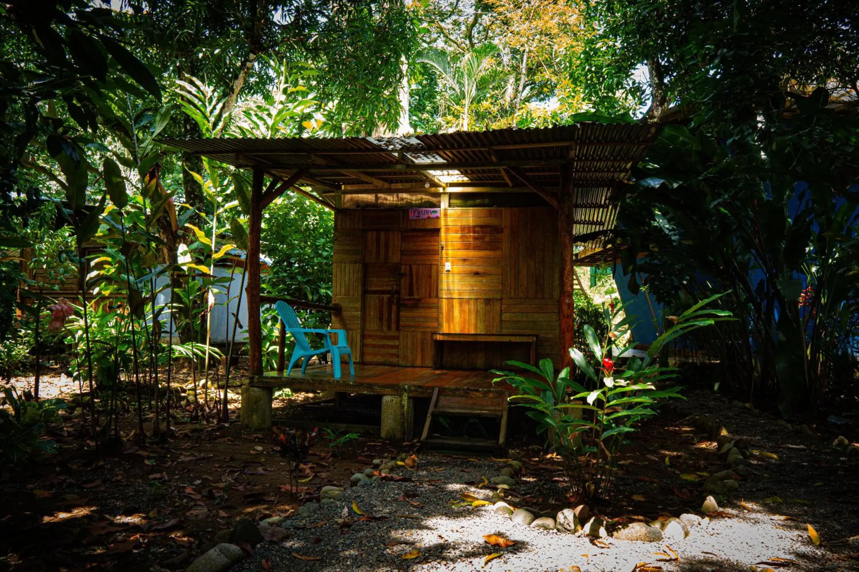 Economy Double Room - single occupancy in Flutterby House Hostel Economy Double Room - single occupancy in Flutterby House Hostel