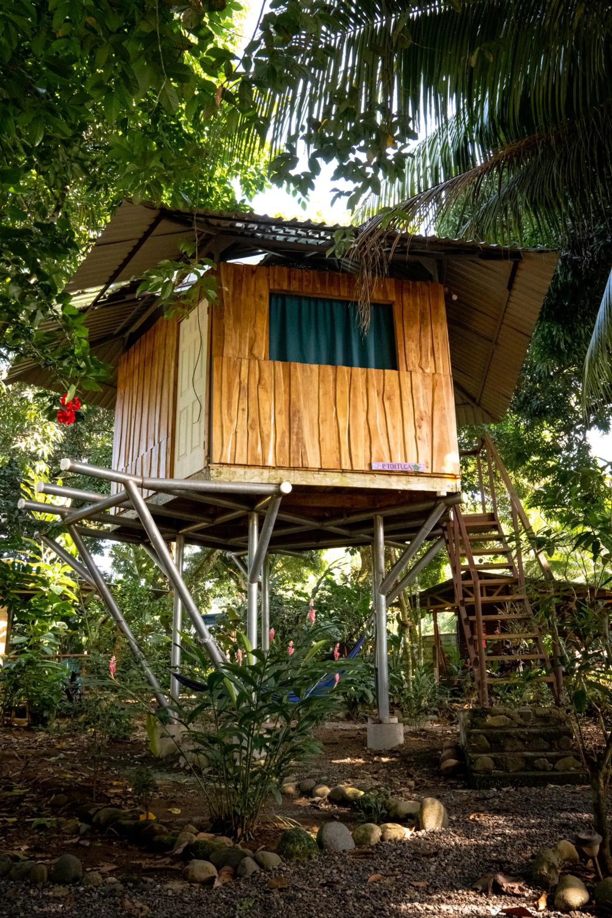 Natural landscape in Flutterby House Hostel