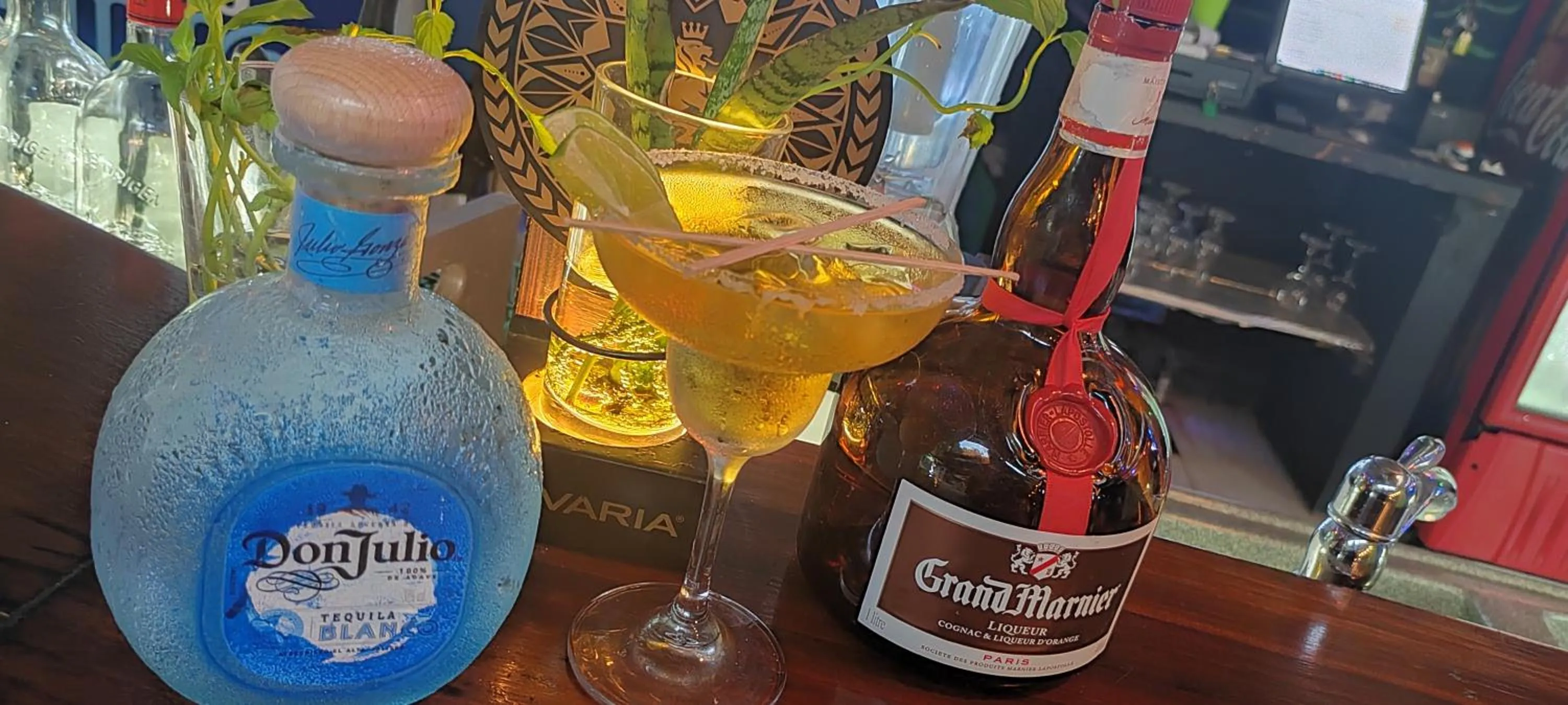 Lounge or bar in Flutterby House Hostel