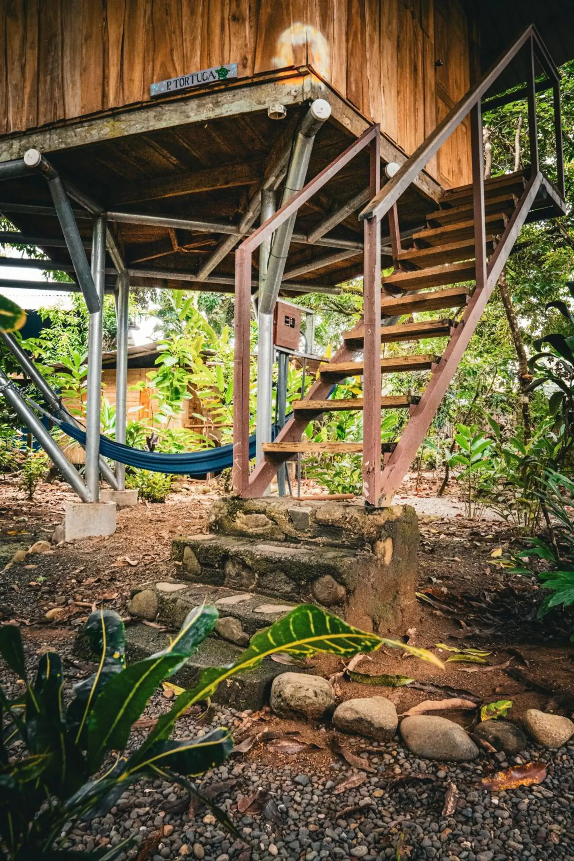 Double Room with Garden View - single occupancy in Flutterby House Hostel Double Room with Garden View - single occupancy in Flutterby House Hostel