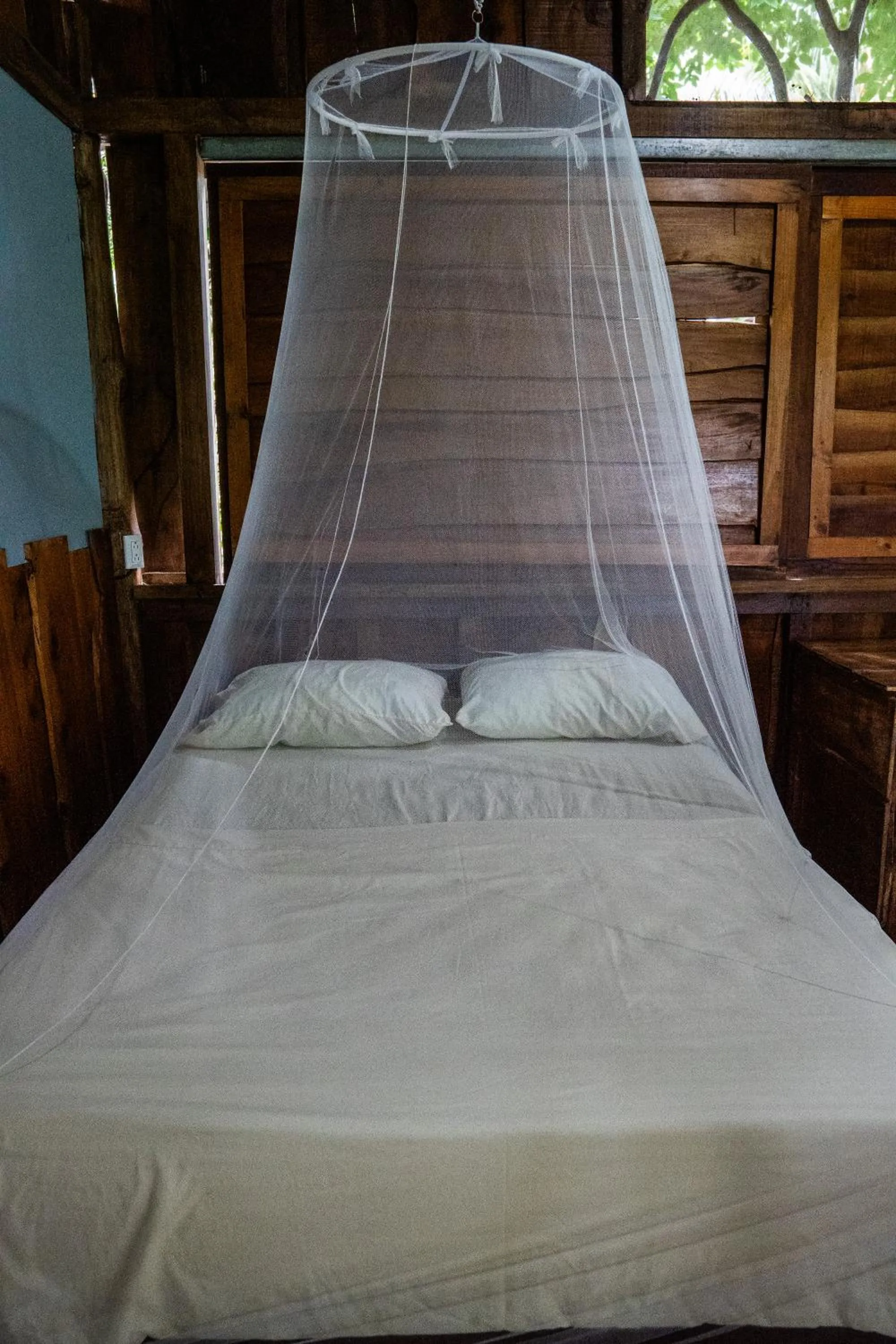 Bed in Flutterby House Hostel