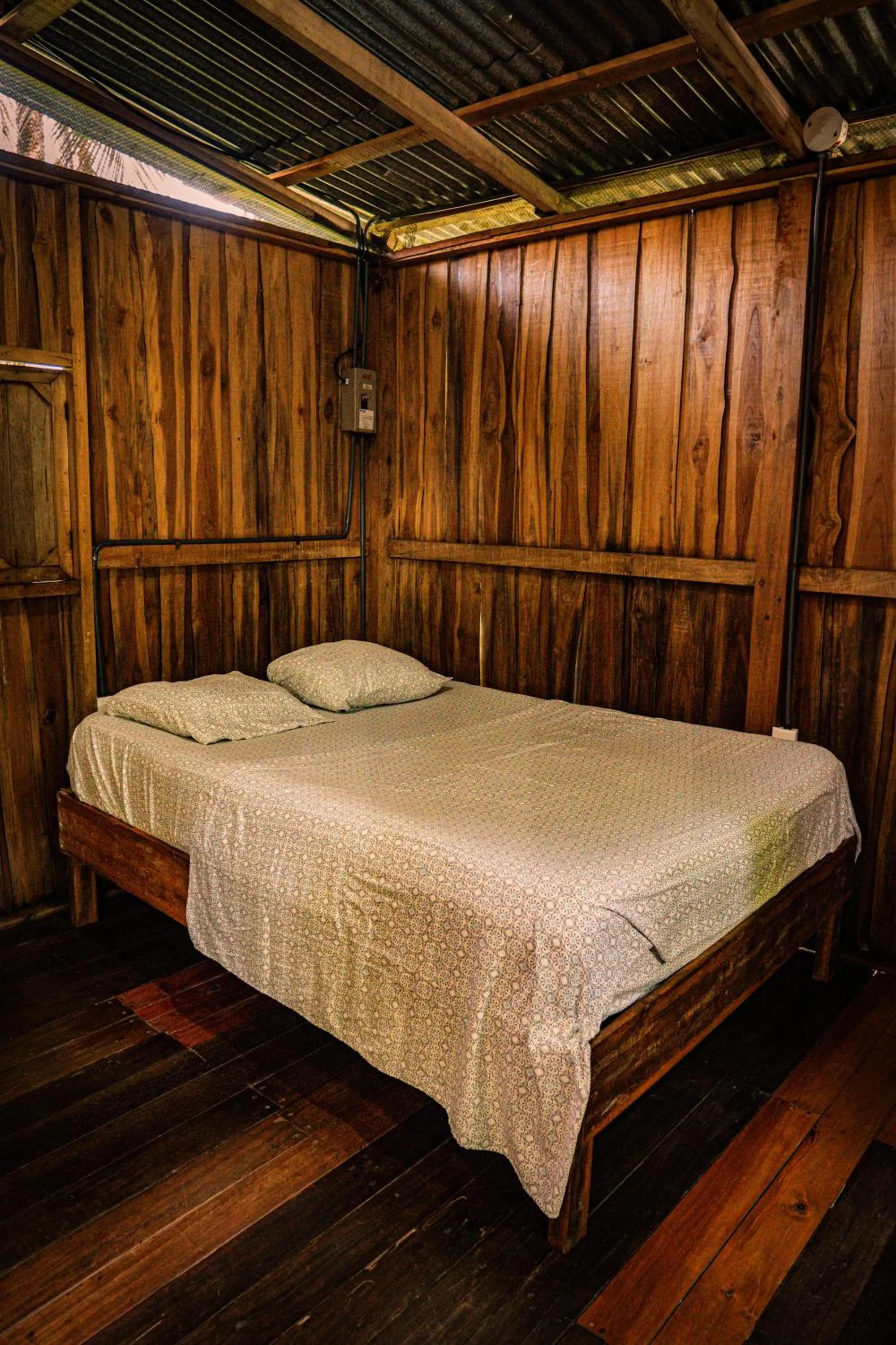 Bed in Flutterby House Hostel