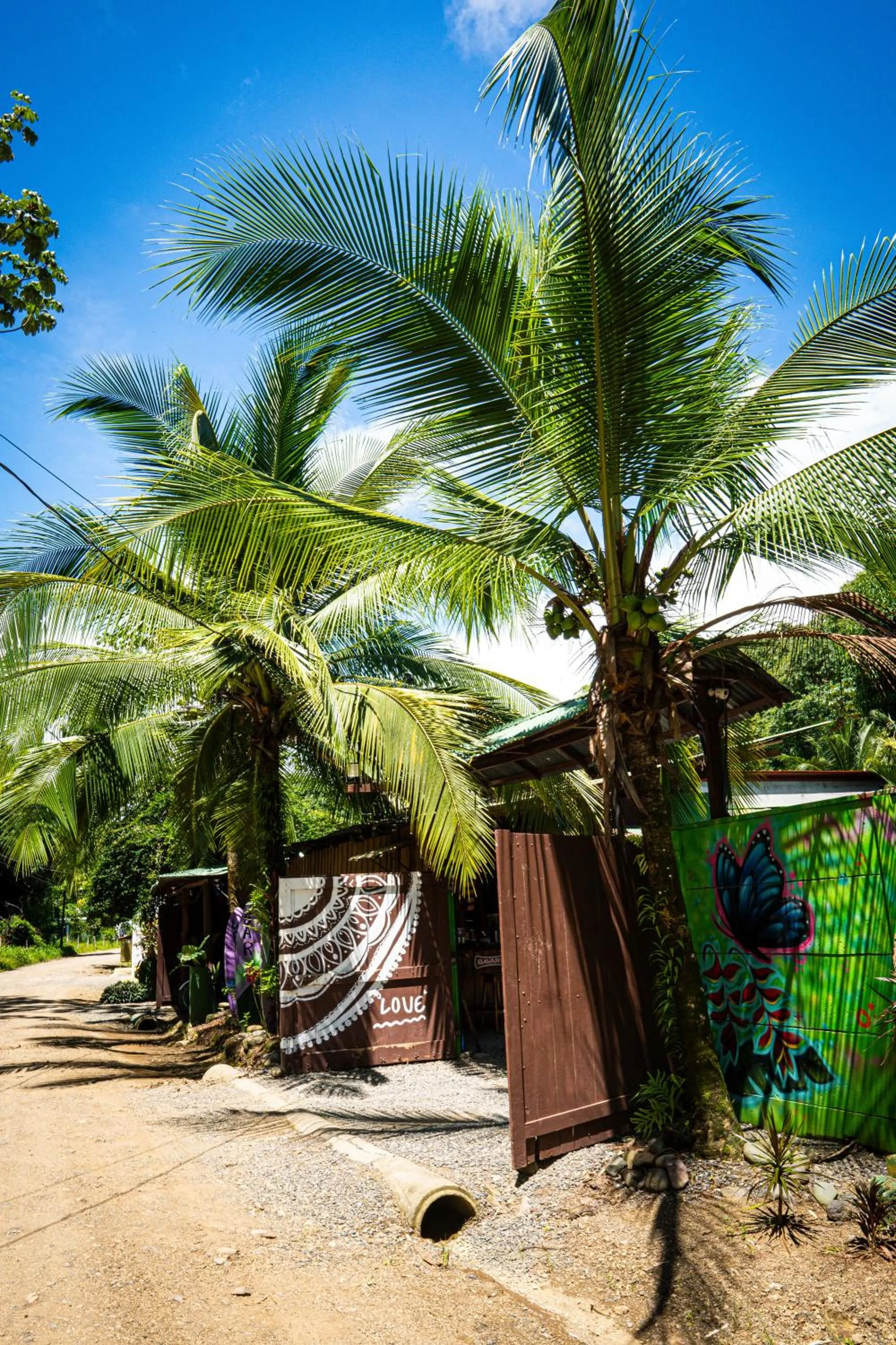 Facade/entrance in Flutterby House Hostel