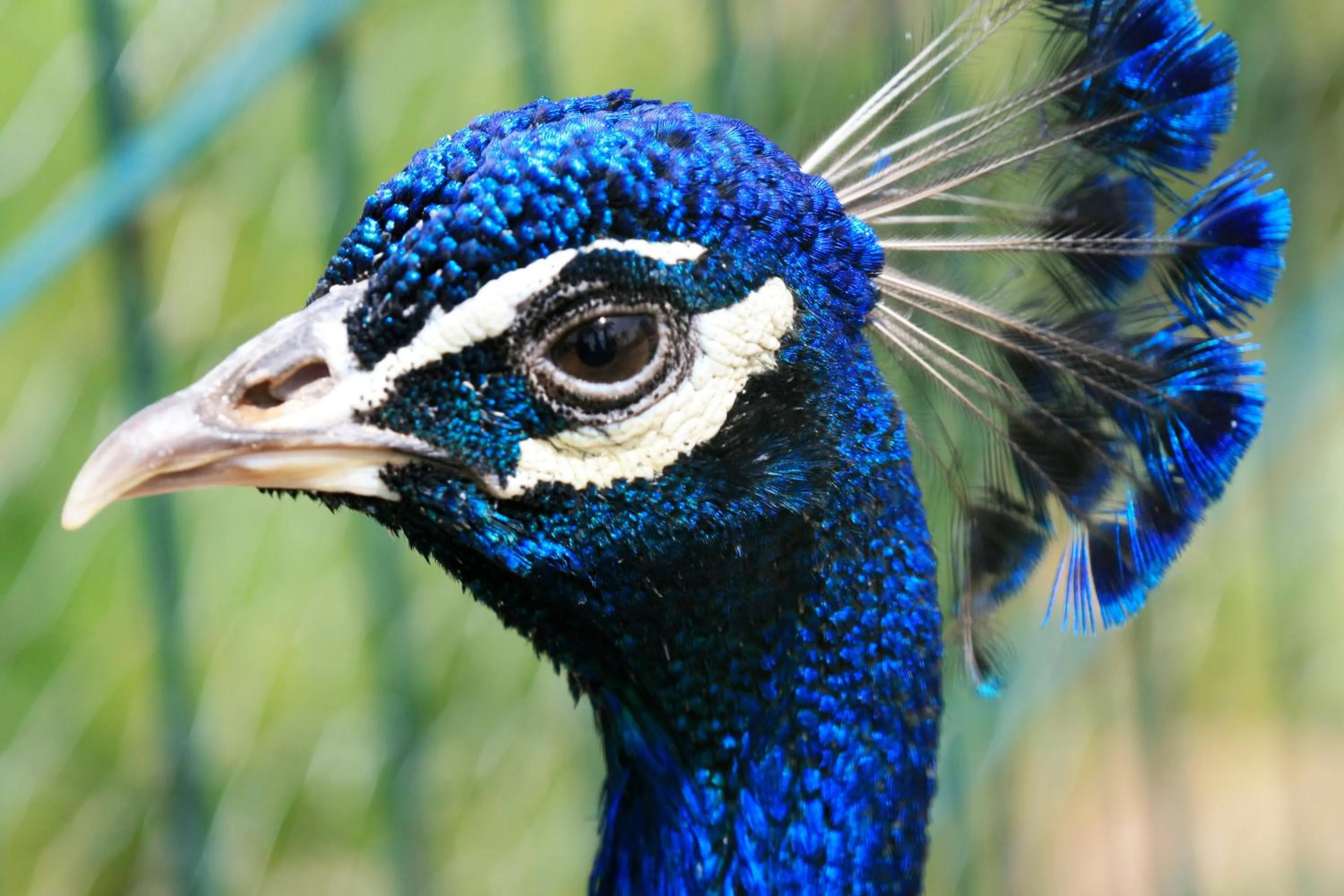 Other in Chez Le Pacha - Authentic Sahara Hotel Mhamid