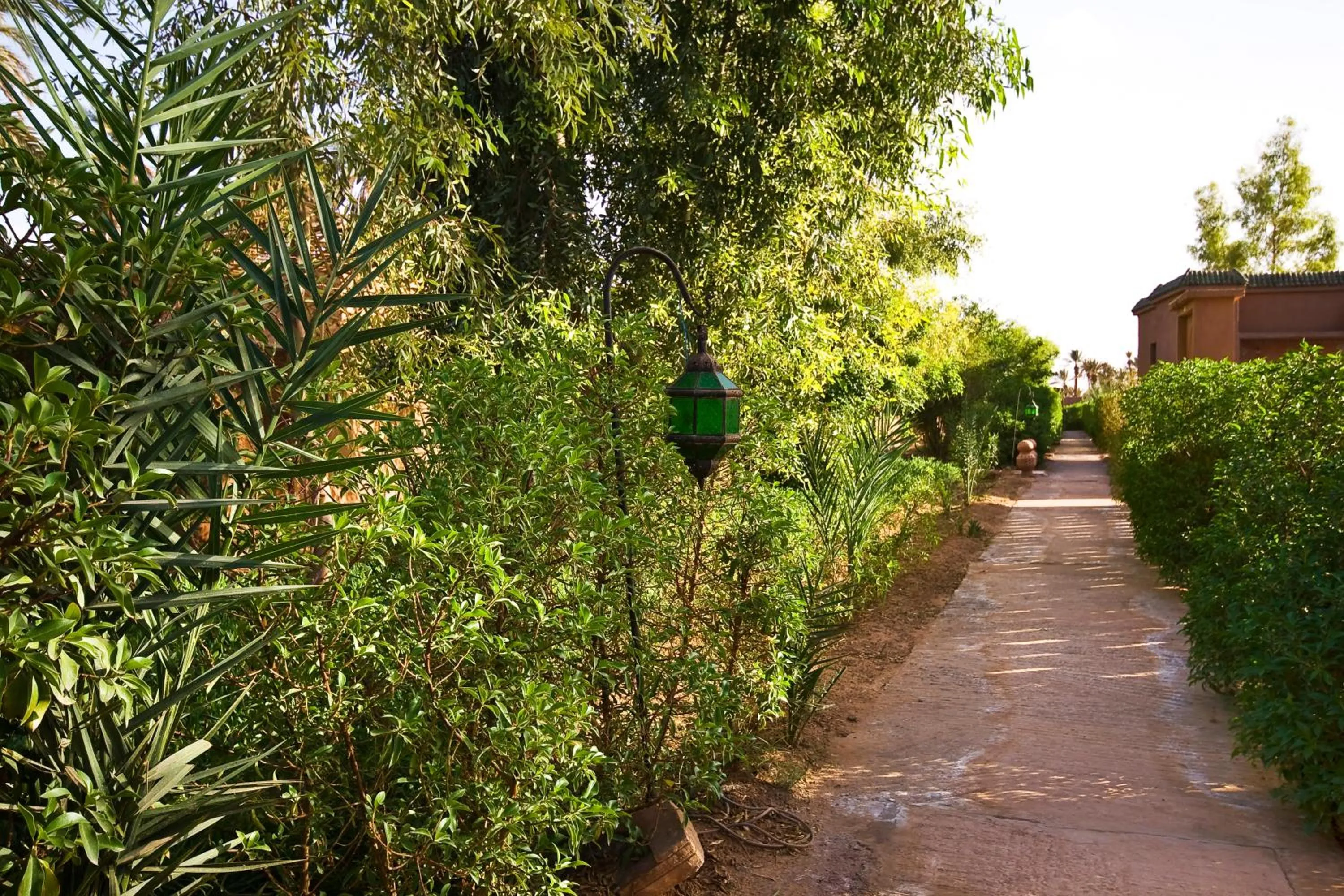 Garden in Chez Le Pacha - Authentic Sahara Hotel Mhamid