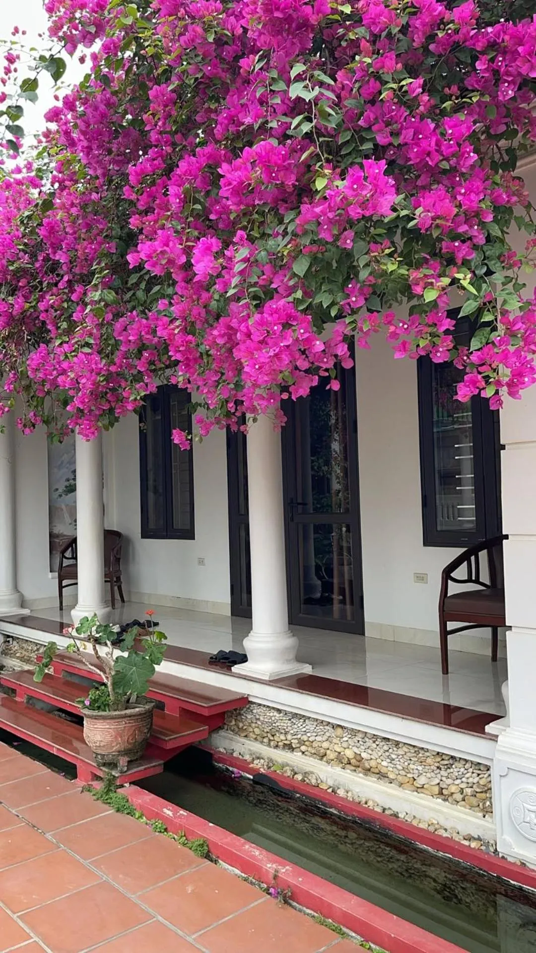 Nha Xanh Homestay