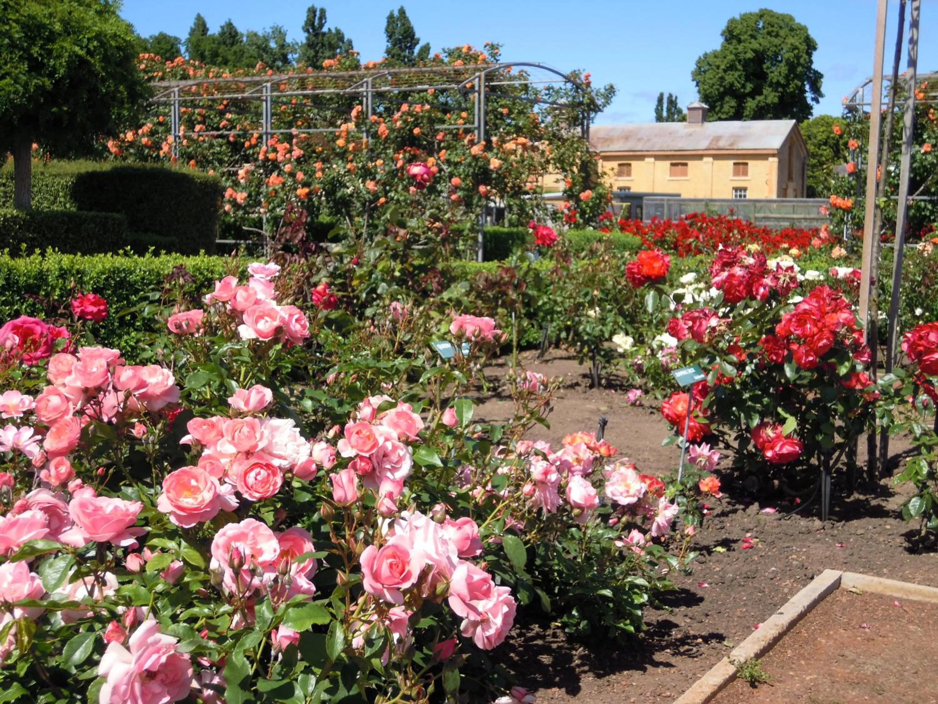 Day in Woolmers Estate