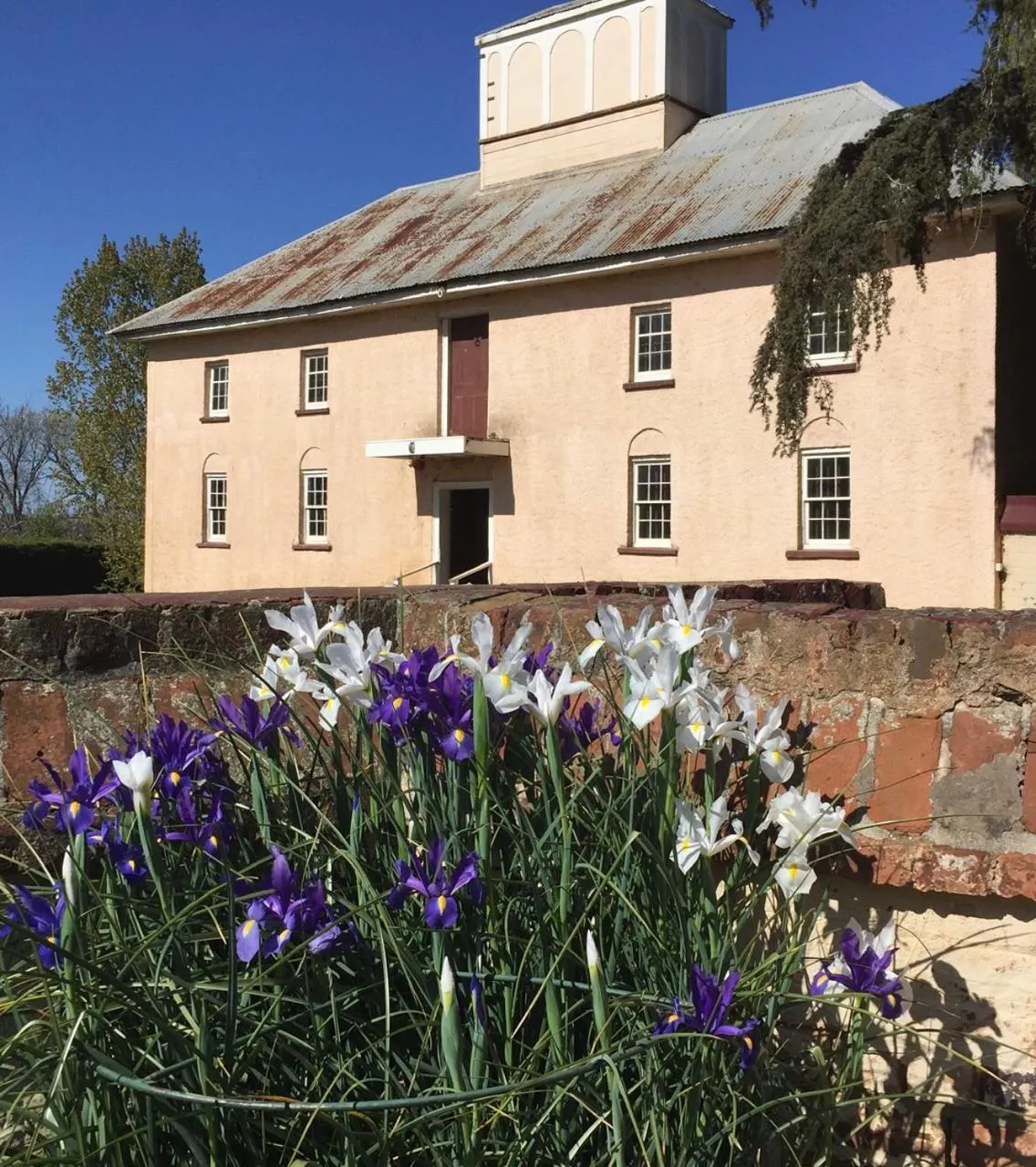 Property building in Woolmers Estate