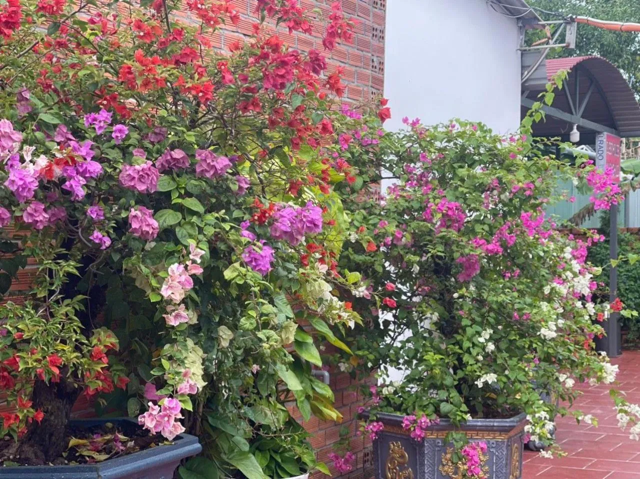 Property building in Nhà Nghỉ Vườn Oải Hương LAVENDER GARDEN GUEST HOUSE