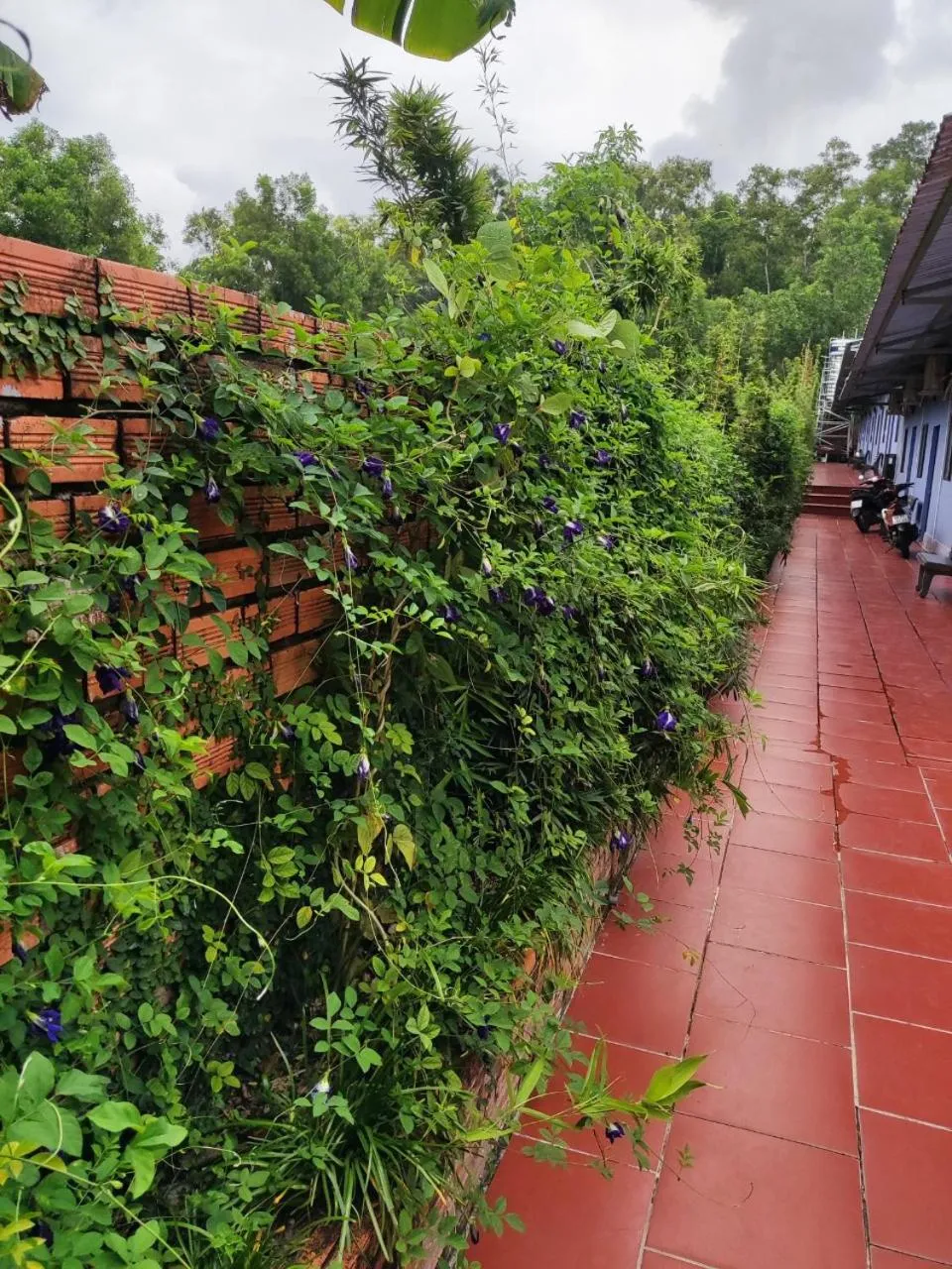 Property building in Nhà Nghỉ Vườn Oải Hương LAVENDER GARDEN GUEST HOUSE