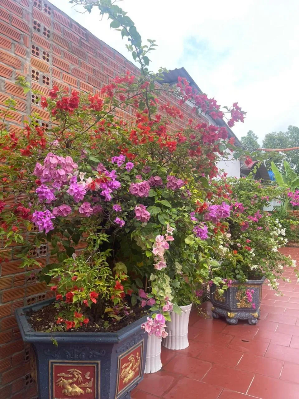 Property building in Nhà Nghỉ Vườn Oải Hương LAVENDER GARDEN GUEST HOUSE