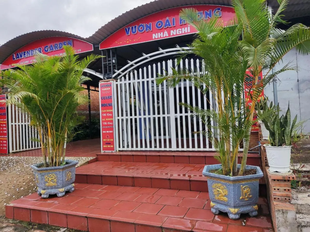 Property building in Nhà Nghỉ Vườn Oải Hương LAVENDER GARDEN GUEST HOUSE