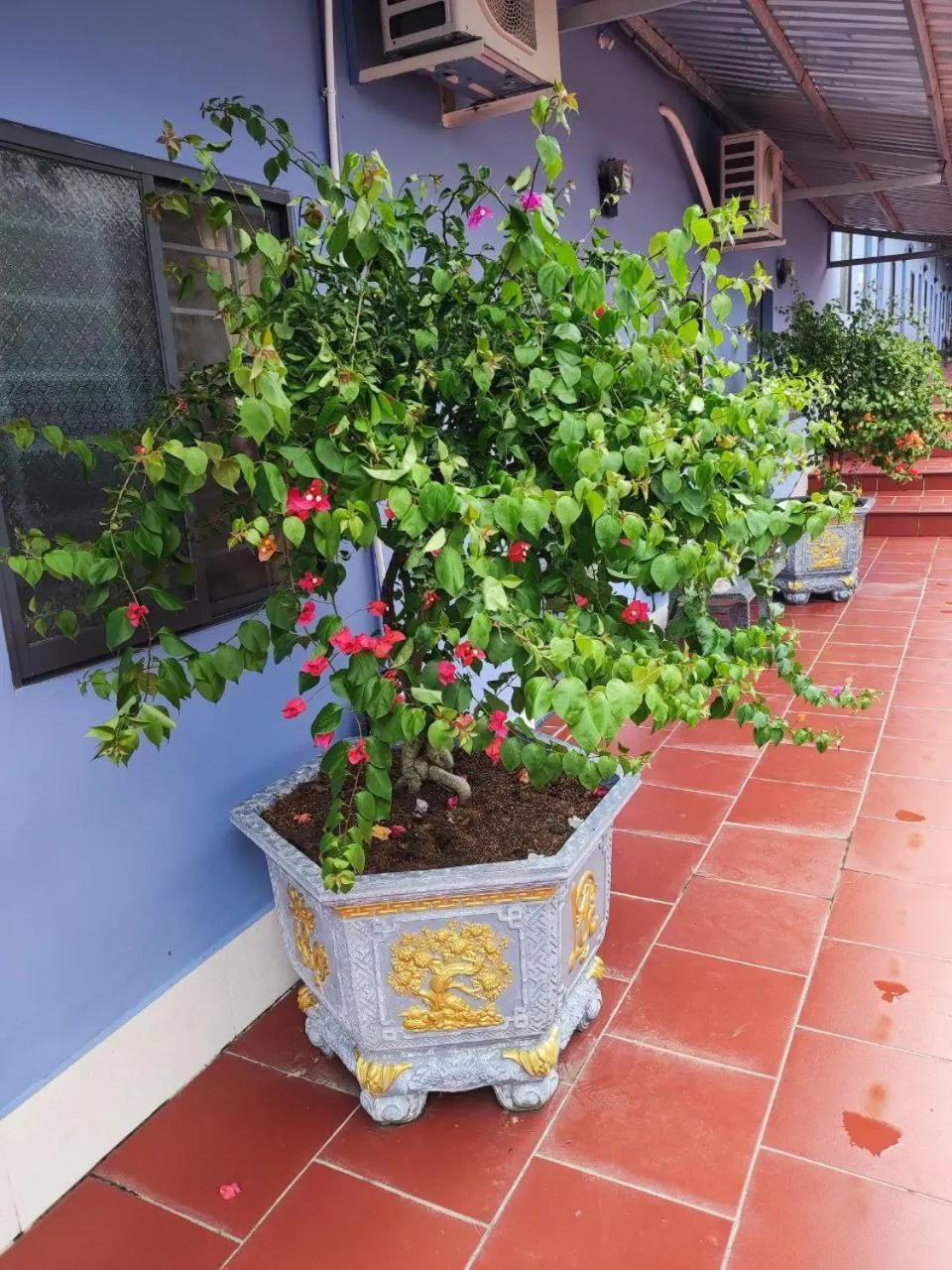 Property building in Nhà Nghỉ Vườn Oải Hương LAVENDER GARDEN GUEST HOUSE