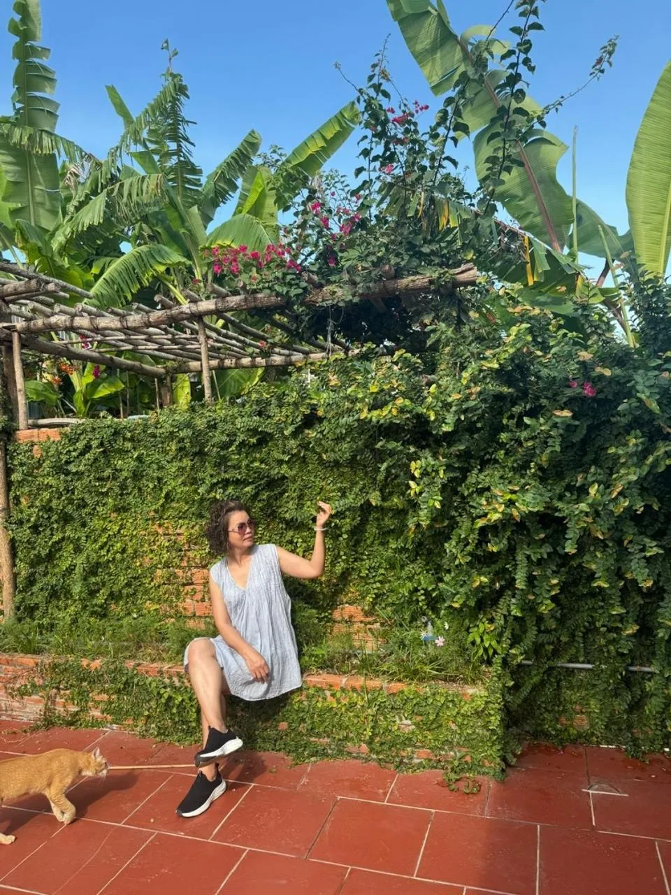 Nhà Nghỉ Vườn Oải Hương LAVENDER GARDEN GUEST HOUSE