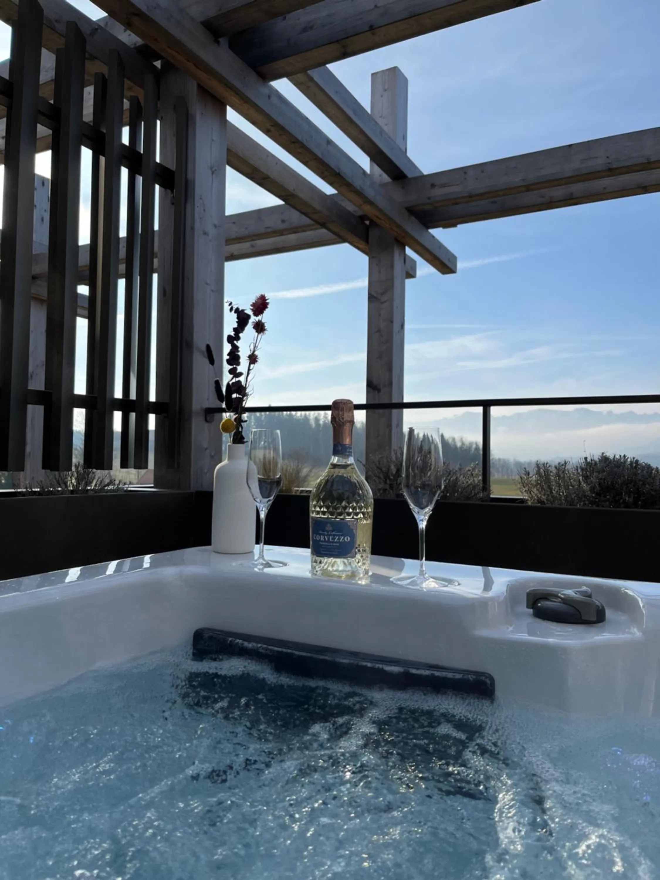 Pool view in Hotel BERGEBLICK