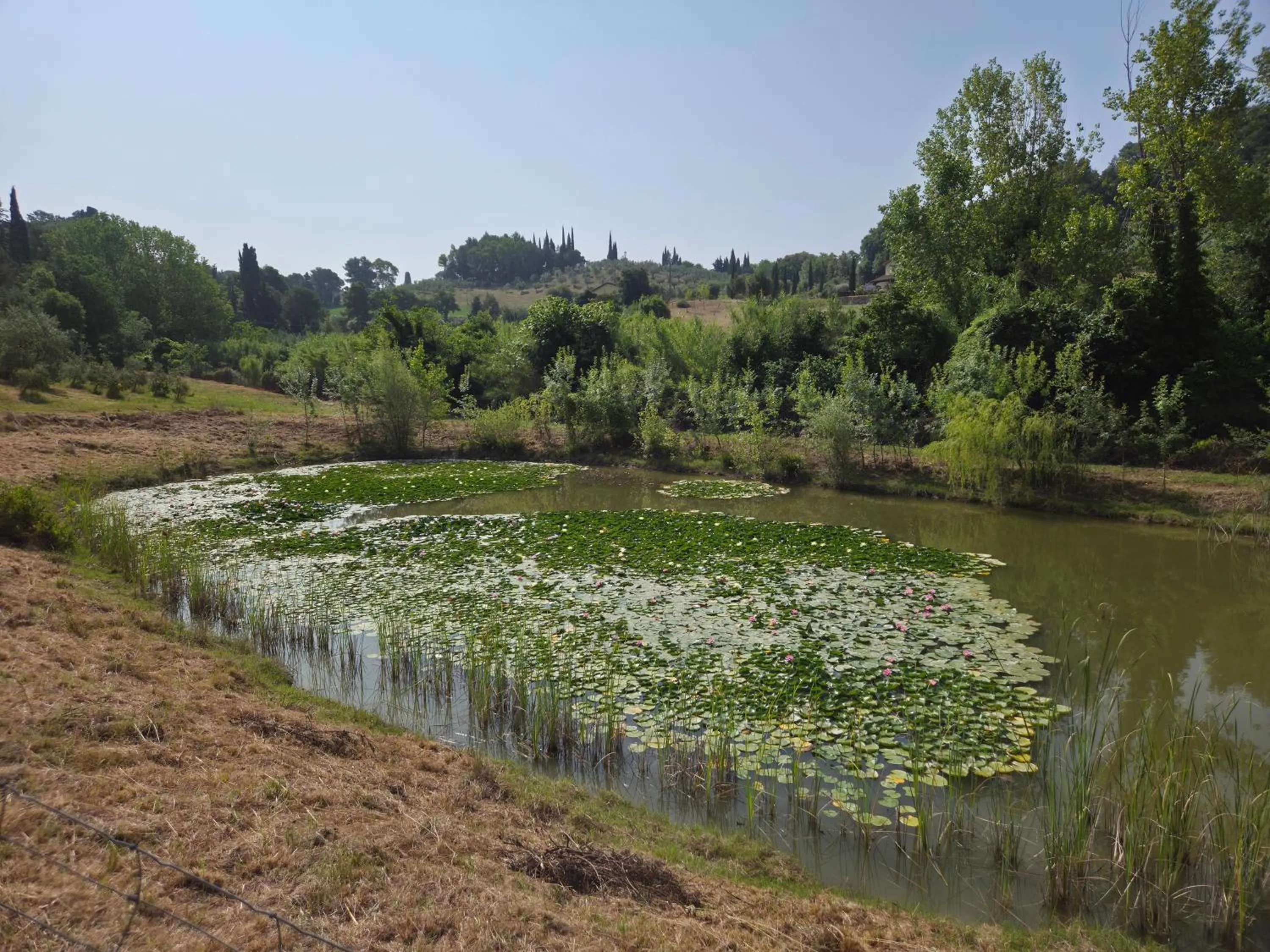 Lake view in Agriturismo Ai Massi