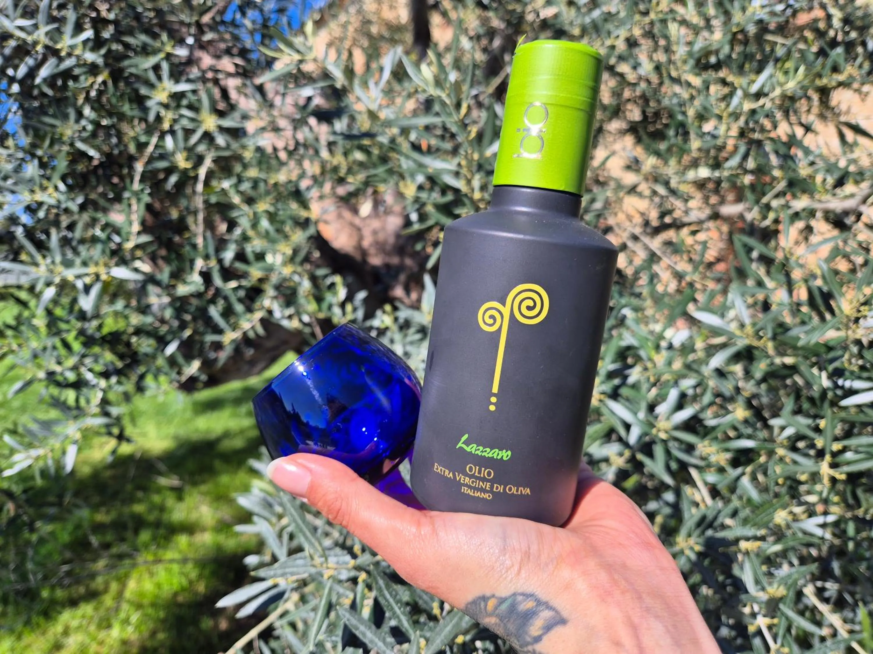 Day in Agriturismo Ai Massi