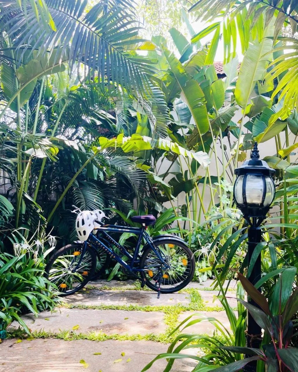 Cycling in The Postcard Saligao