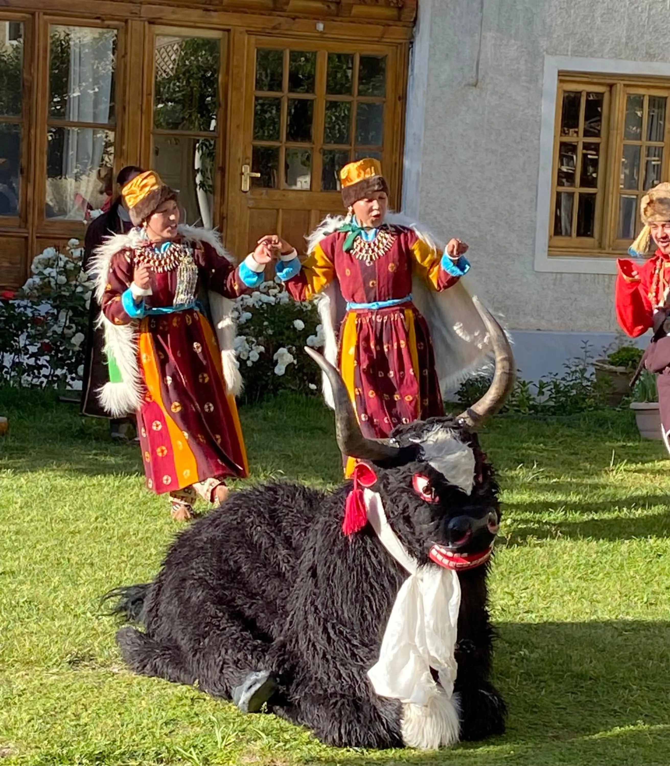 Evening entertainment in Hotel Palam Hills